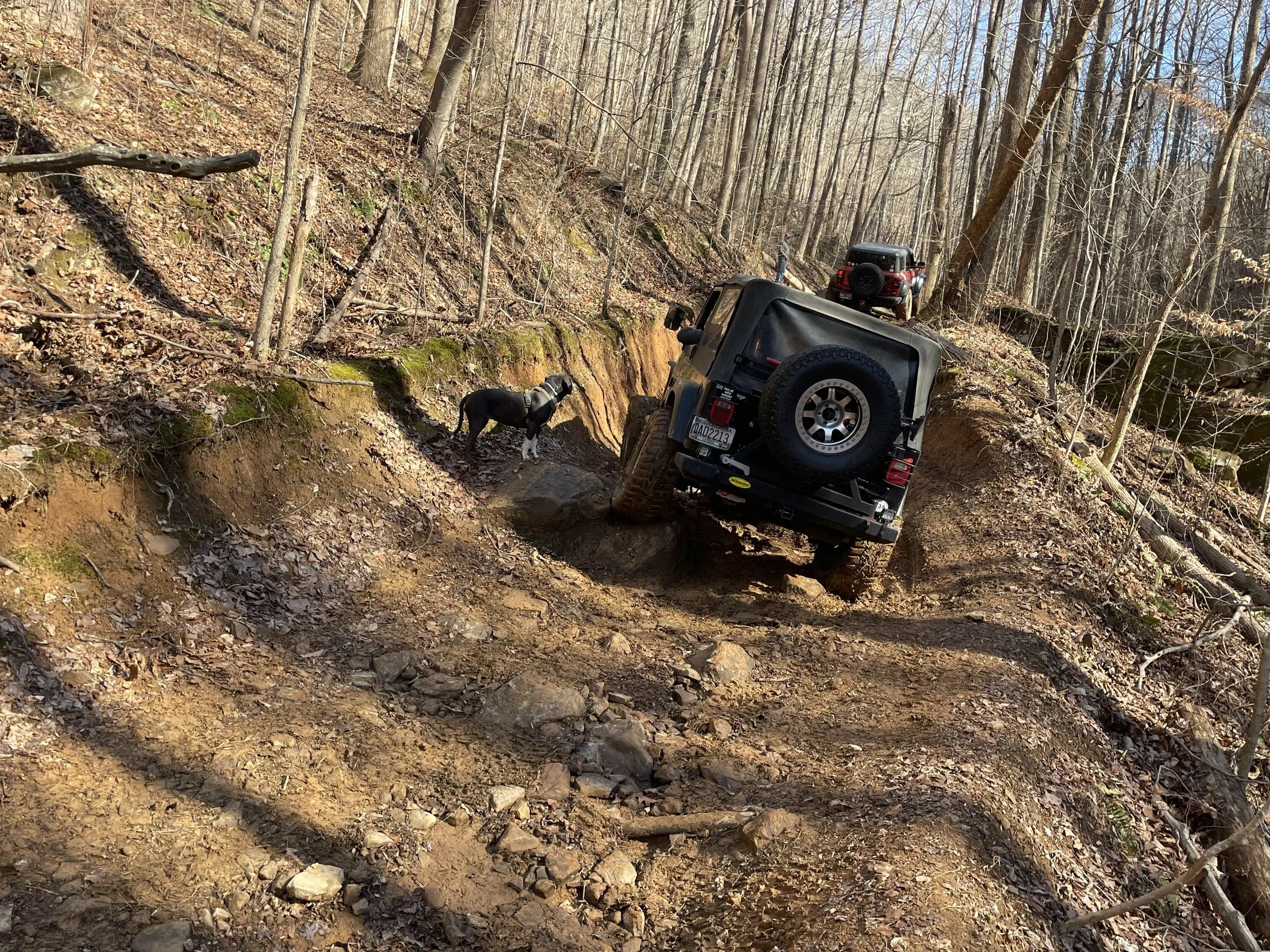 Ford Bronco Windrock 2/3/24 Groundhawg run IMG_1857