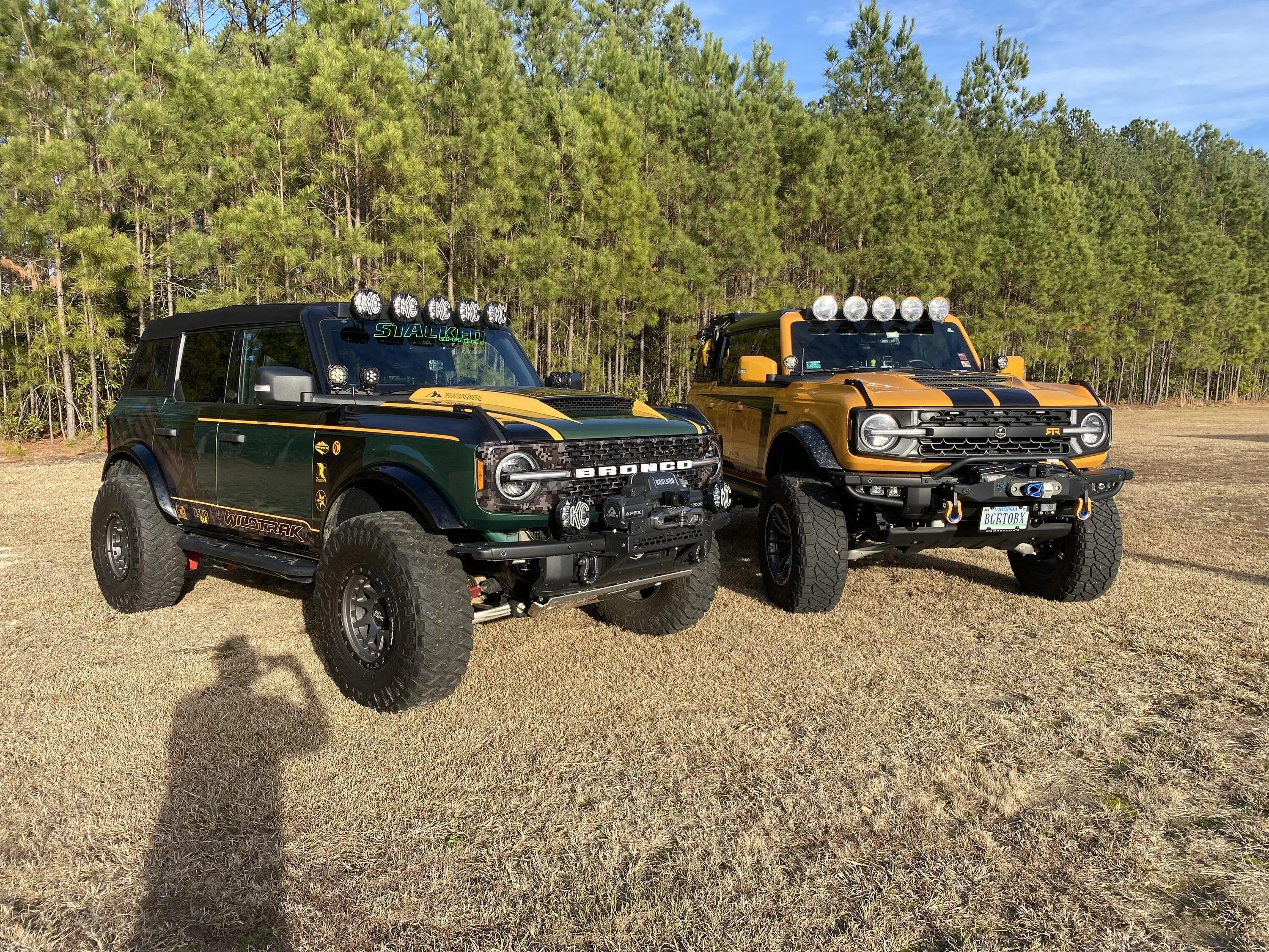 Ford Bronco Cervini Stalker Hood IMG_4093