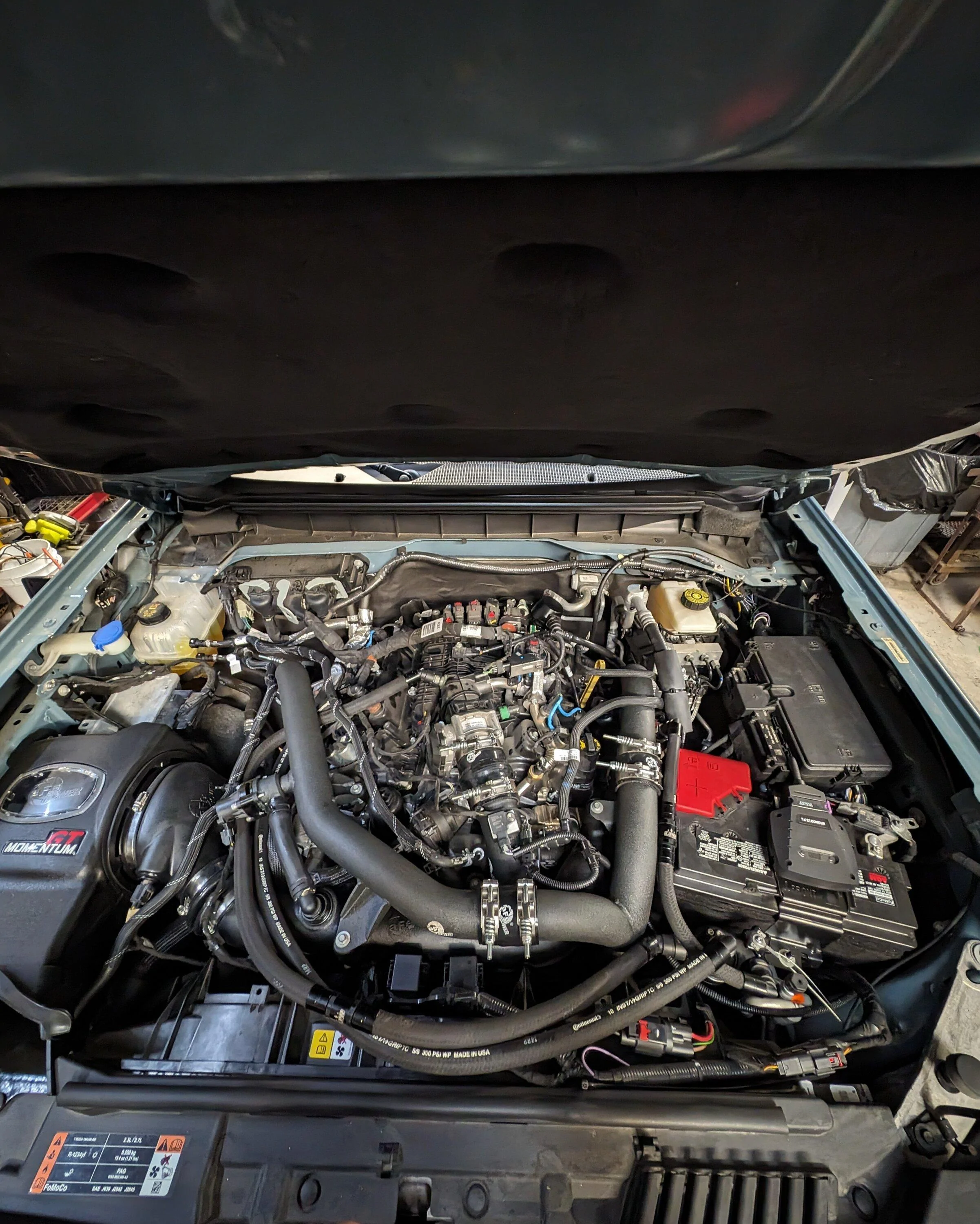 Ford Bronco Show me your CAI's? 1000010704