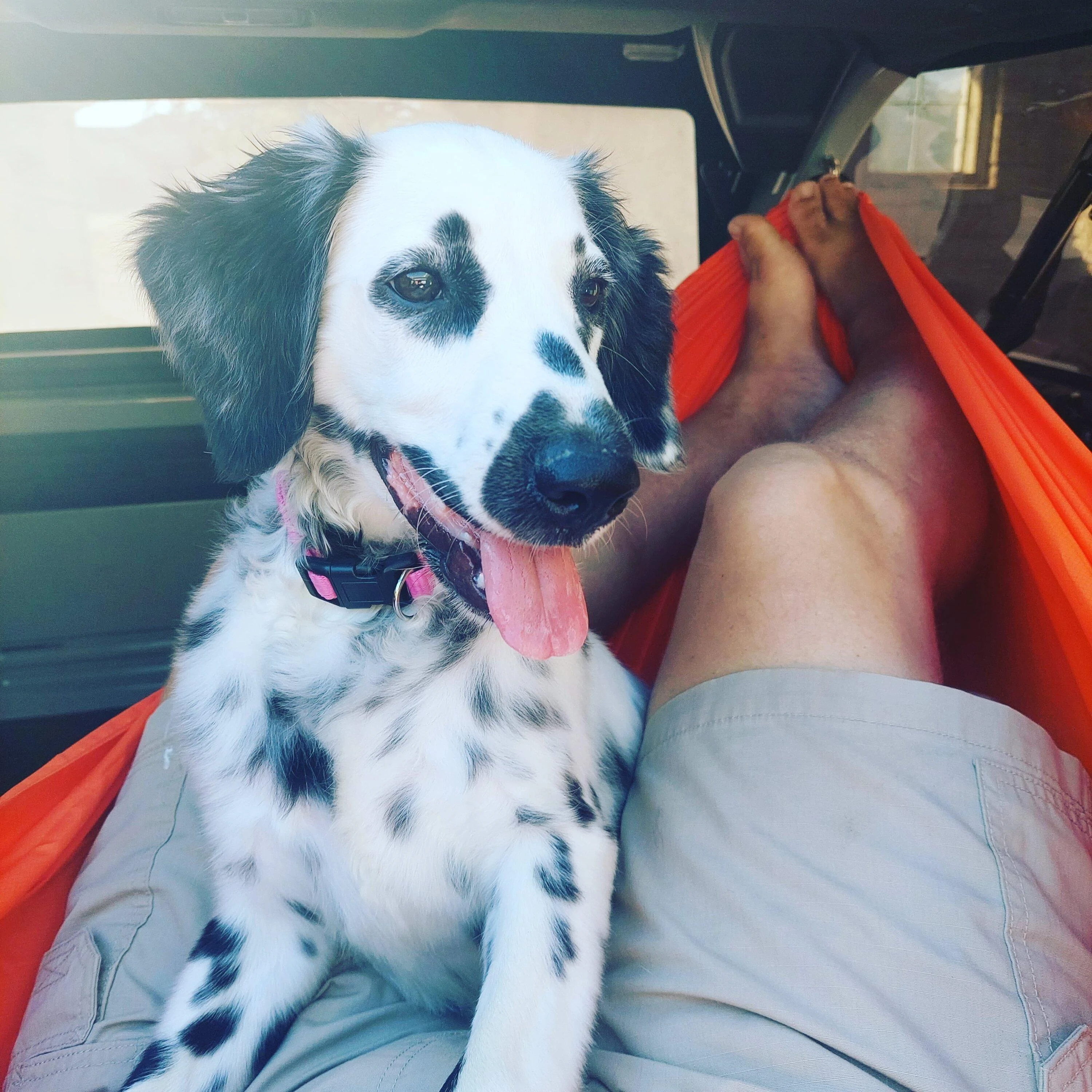 Ford Bronco Hammock camping in your Bronco IMG_20230817_173910_774