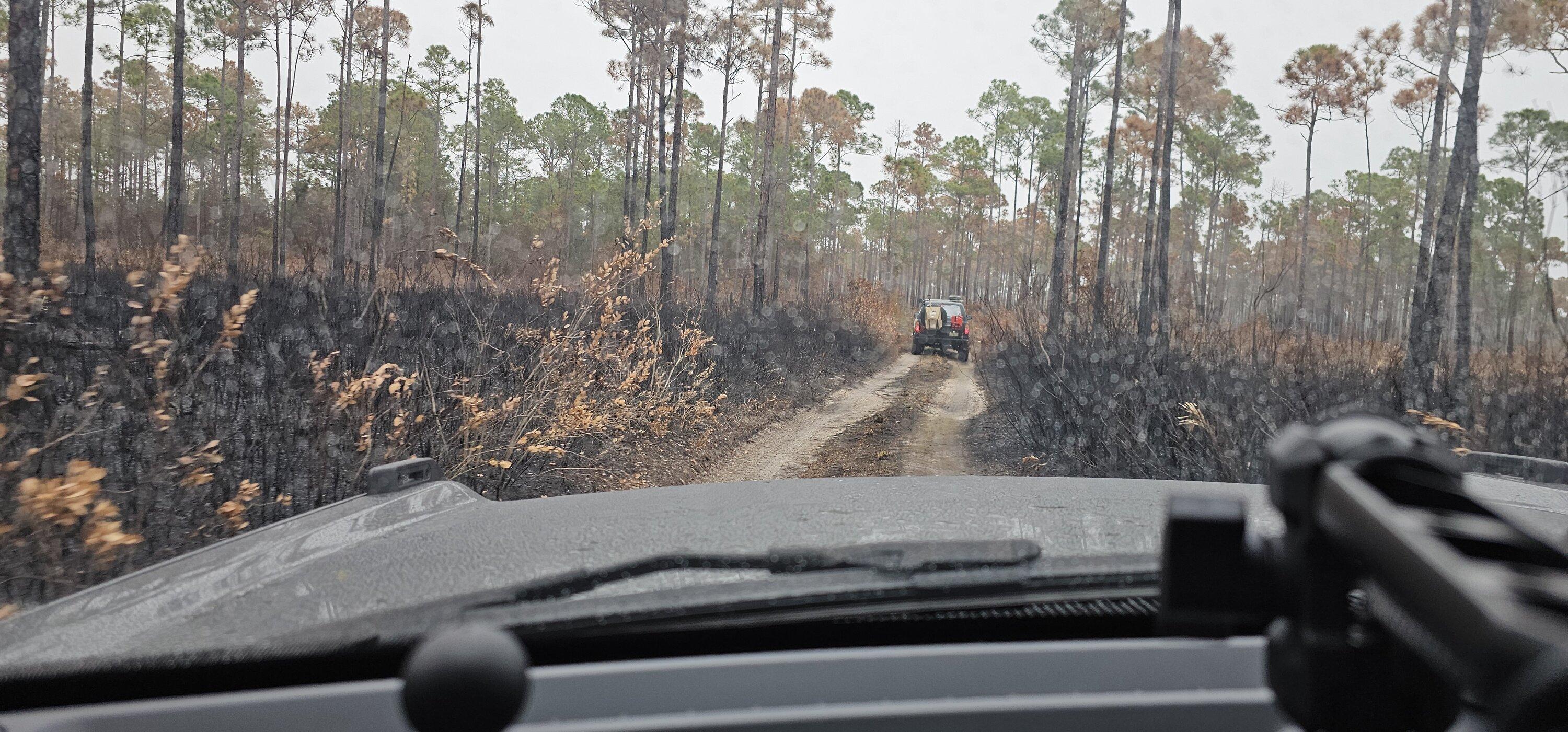 Ford Bronco Conquering the Ocala National Forest: A Bronco Adventure with Muddy Mishaps and Shelter Lessons 1000016580