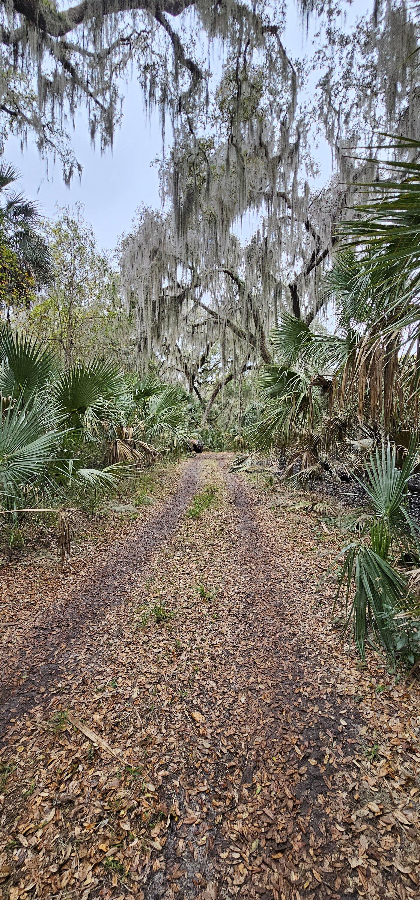 Ford Bronco Conquering the Ocala National Forest: A Bronco Adventure with Muddy Mishaps and Shelter Lessons 20240217_131954