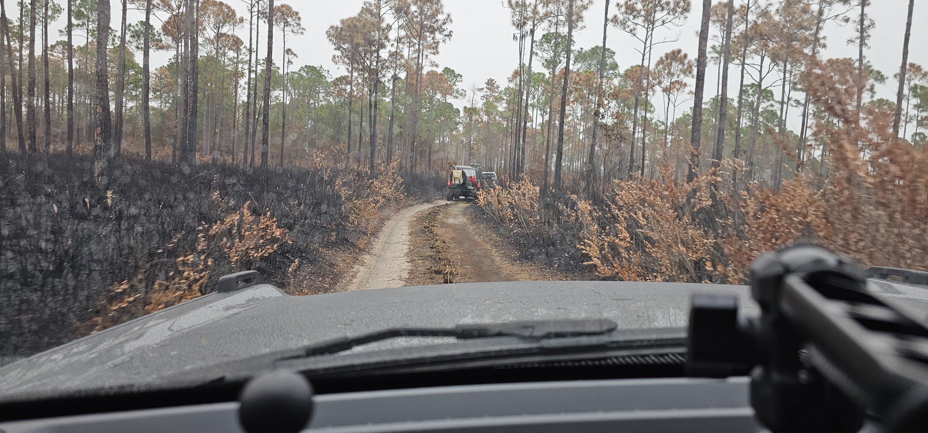 Ford Bronco Conquering the Ocala National Forest: A Bronco Adventure with Muddy Mishaps and Shelter Lessons 20240217_143251