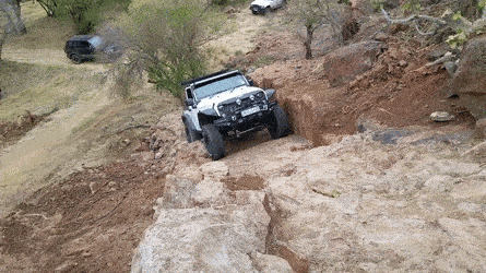 Ford Bronco GAP INSURANCE DO AND DON'T NeglectedSadGiraffe-size_restricted