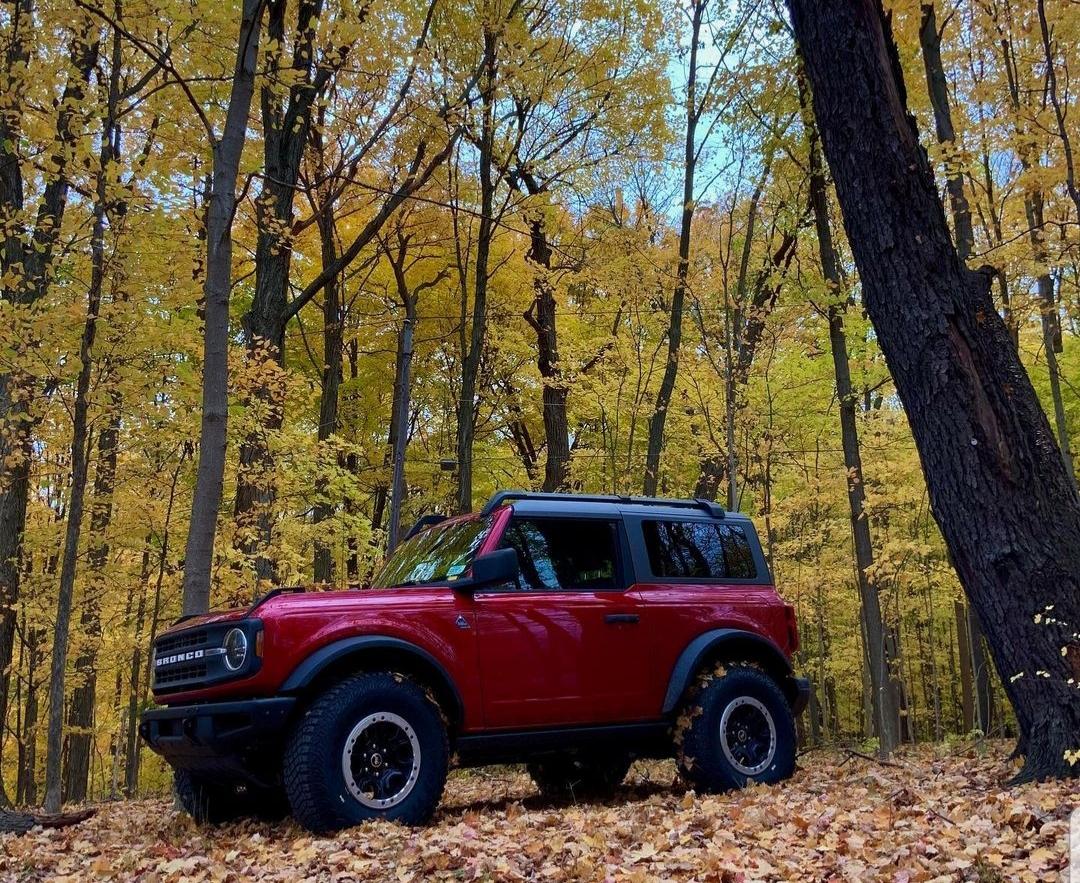 Ford Bronco Wife humor. 0EAF7A05-88FE-411F-842A-3F9C85804D2F