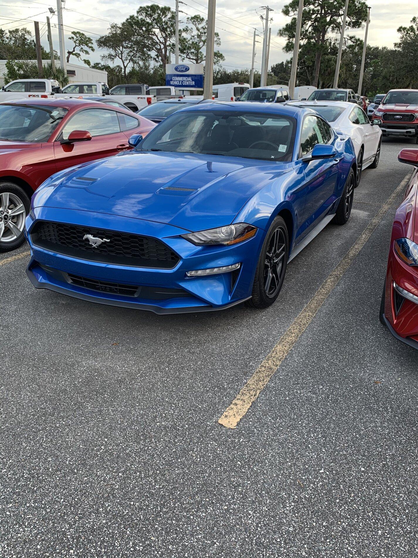 F1916196-E525-4D0D-BD9E-417E45951B06.jpeg