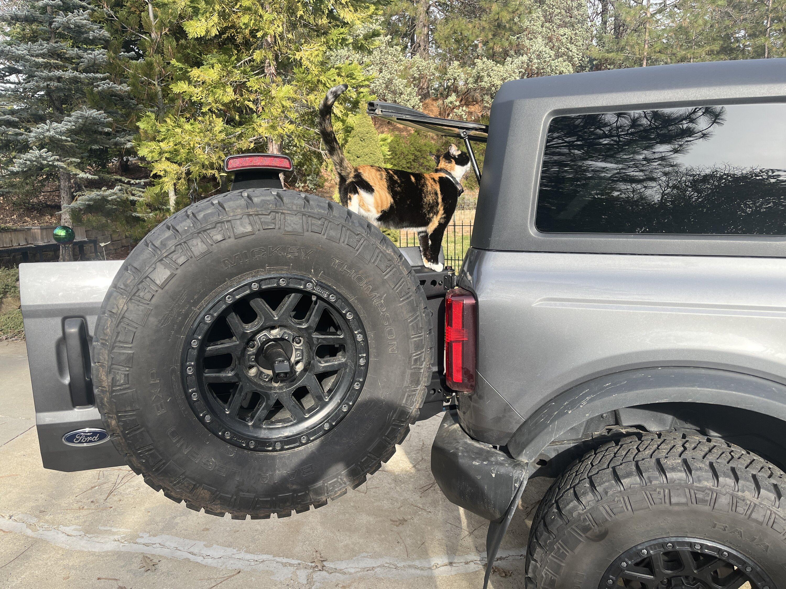 Ford Bronco Any consensus on which tailgate reinforcement has performed best? image