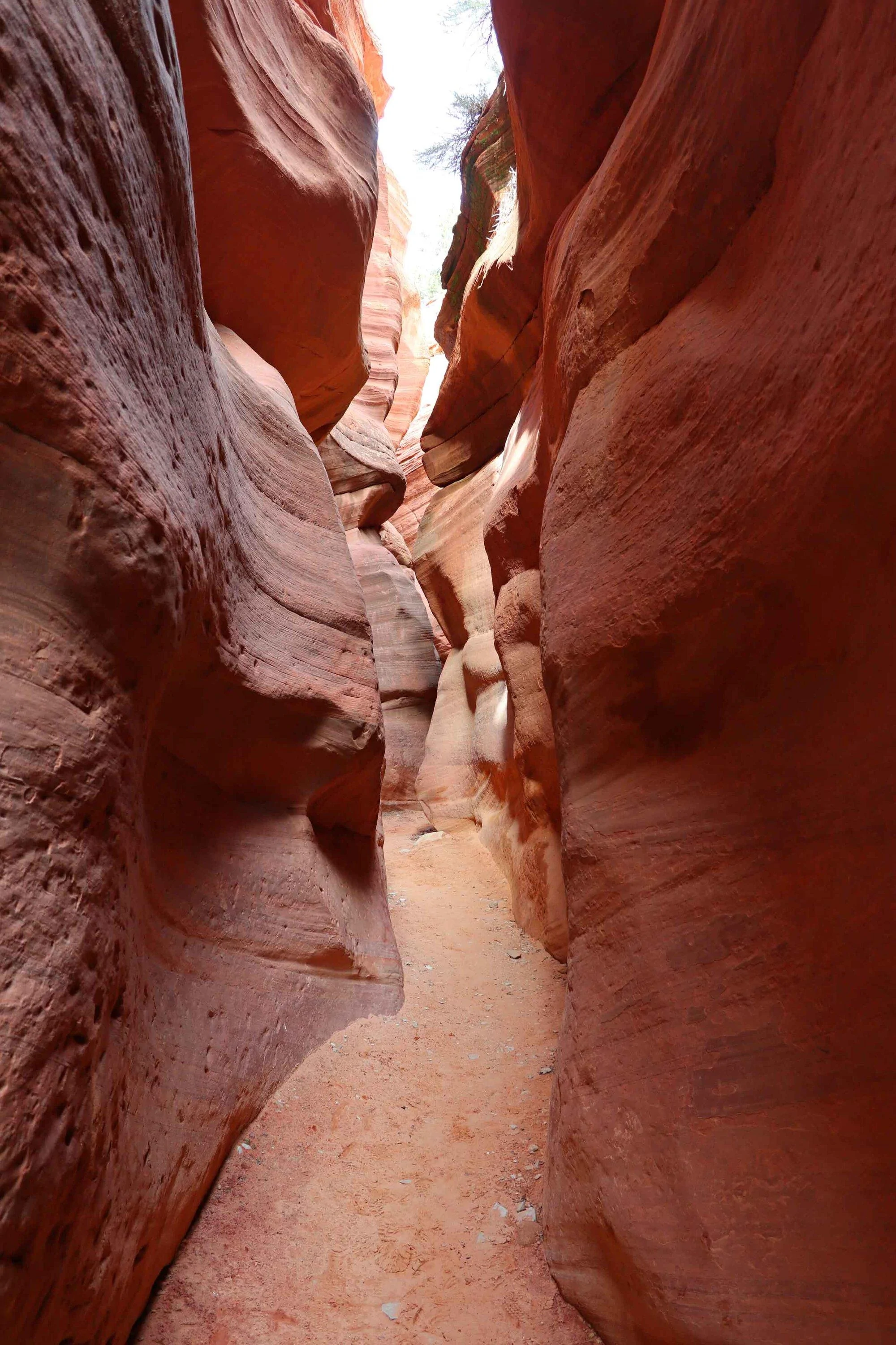 Trail 2.jpg