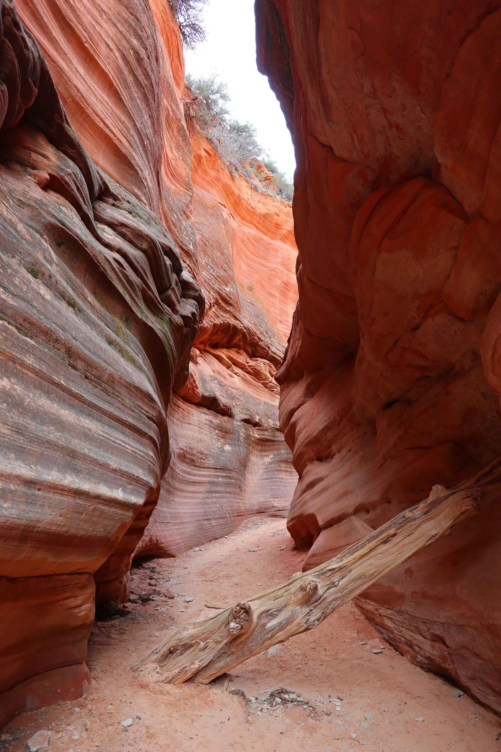 Trail 3.jpg