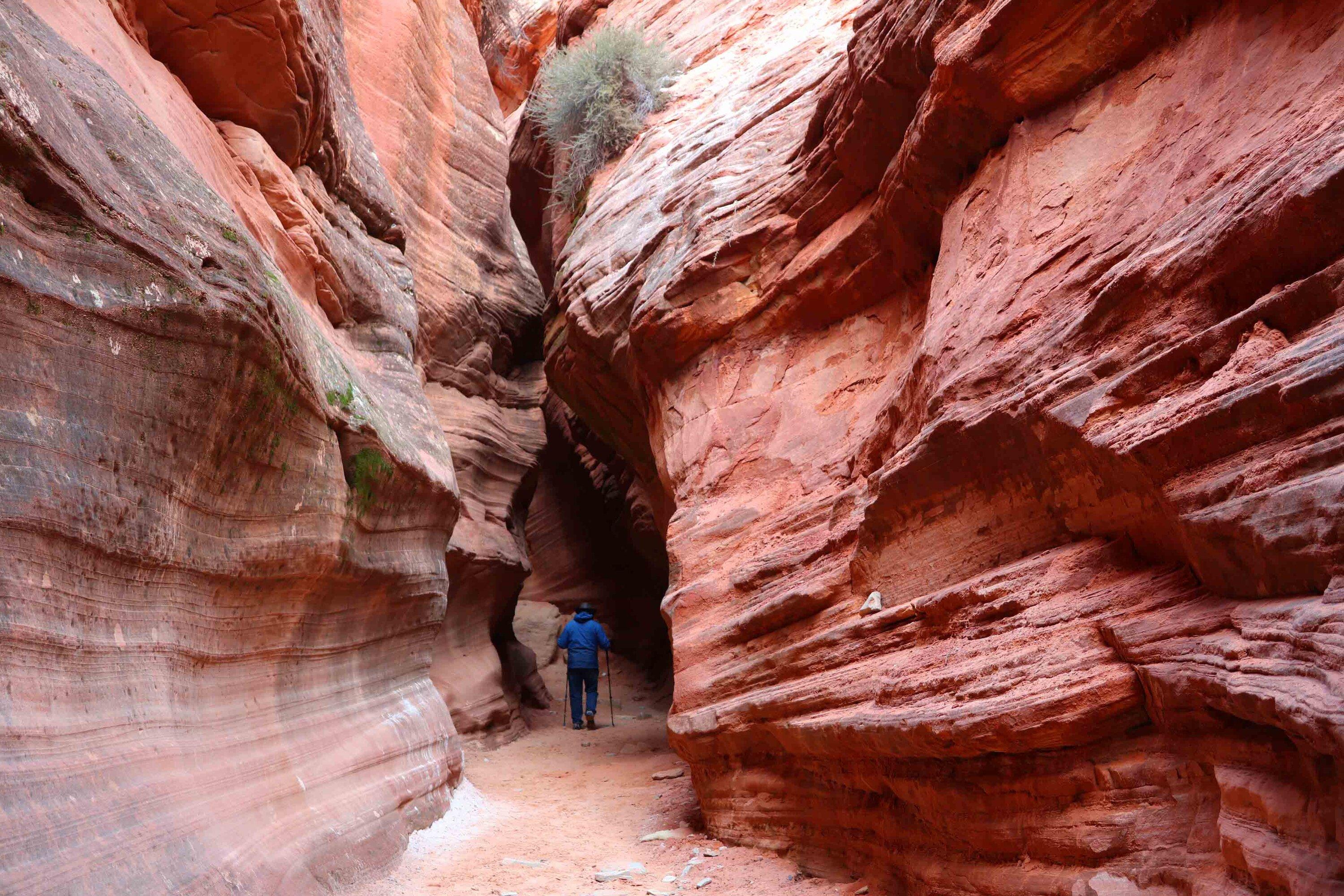 Trail 4.jpg