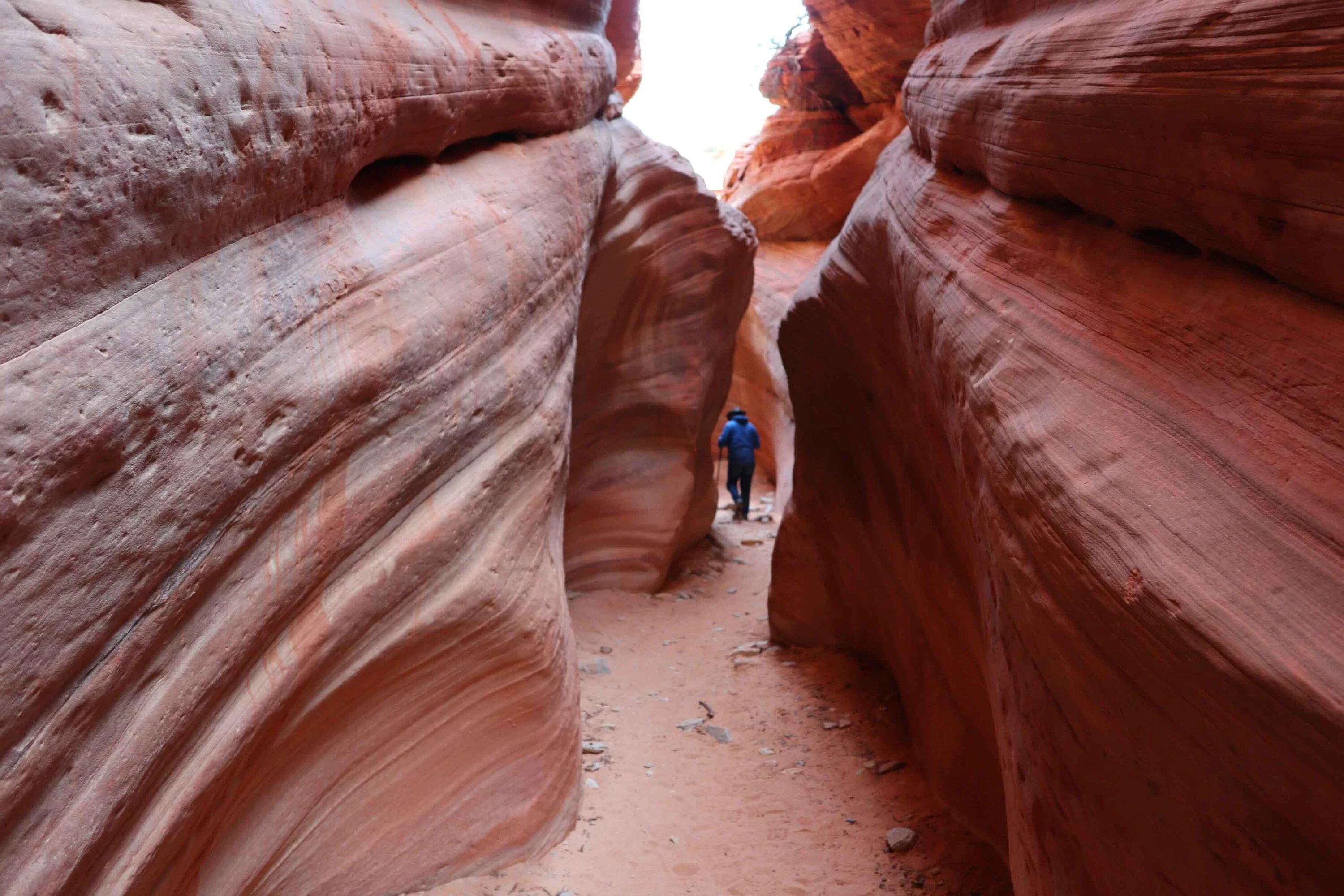 TRail 1.jpg