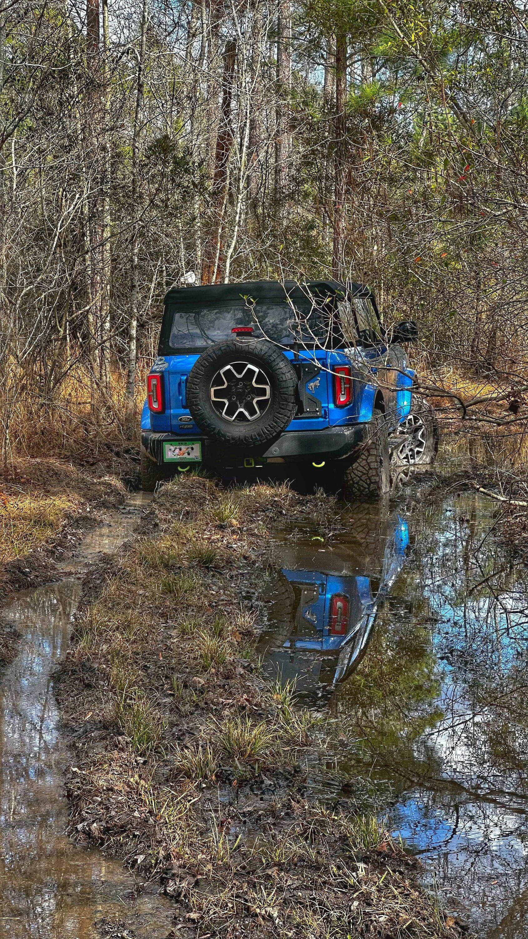 Ford Bronco Quail hunting in GA IMG_5354