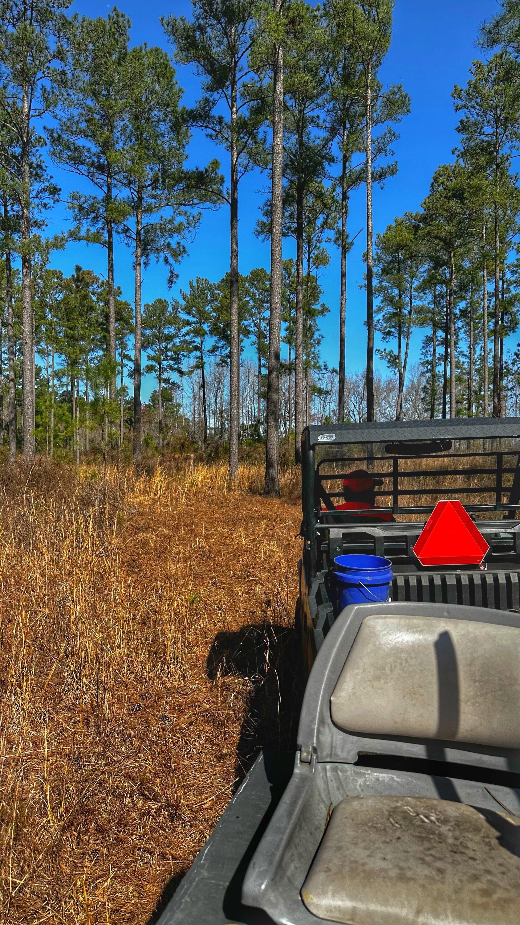 Ford Bronco Quail hunting in GA IMG_5360