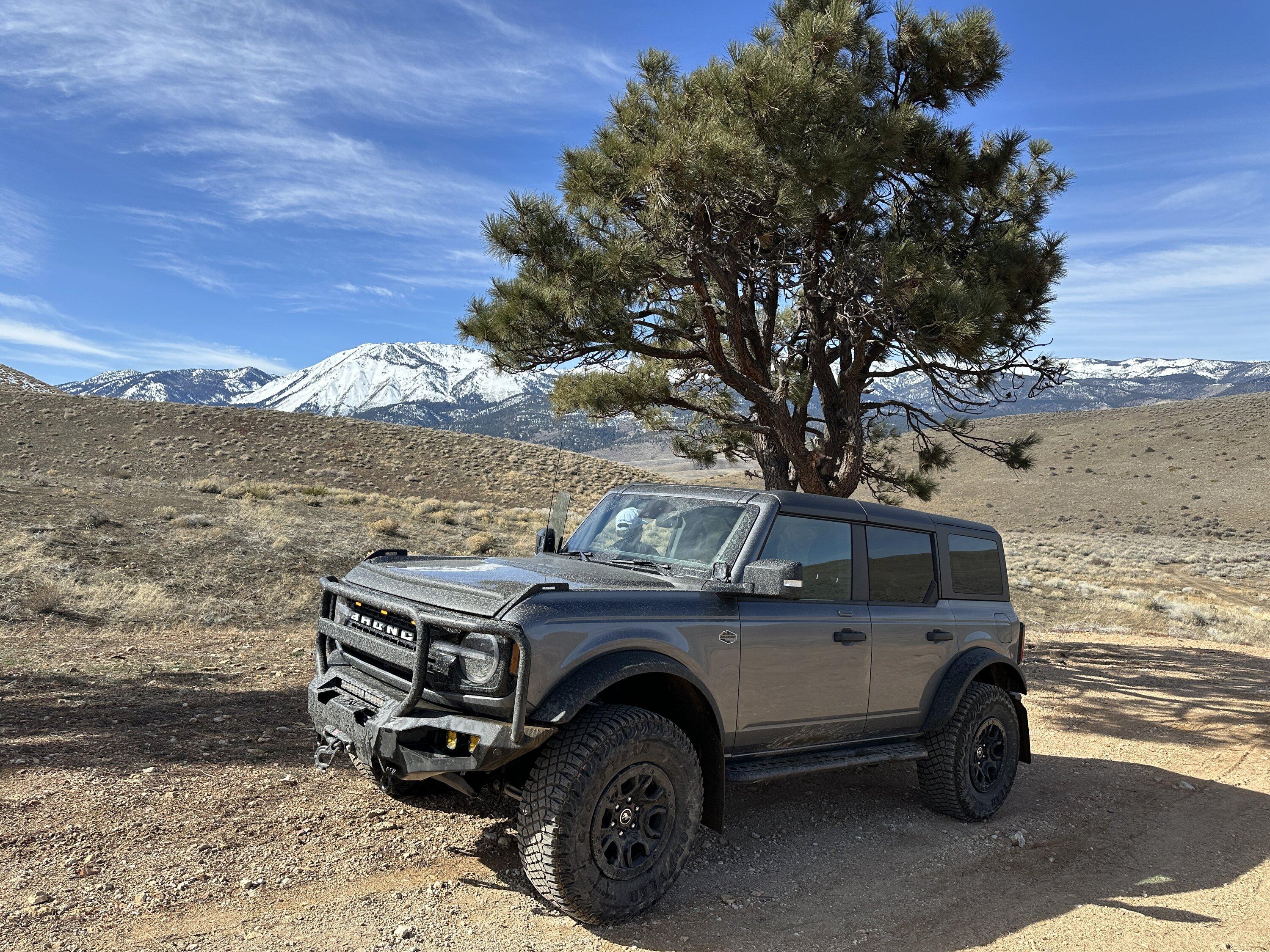 Ford Bronco CARBONIZED GRAY Bronco Club IMG_5222
