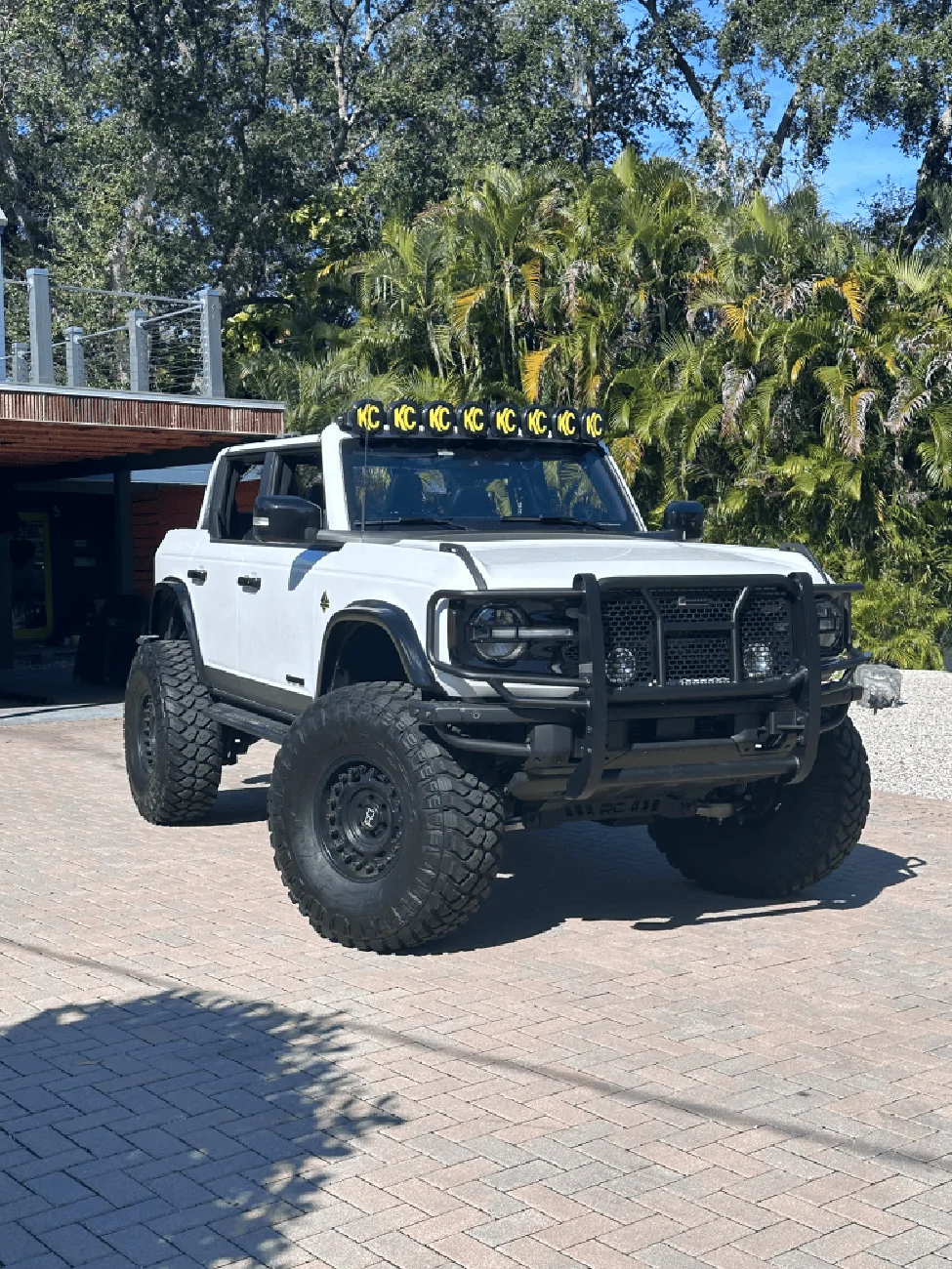 Ford Bronco Looking For a Real Brush Guard IMG_1852
