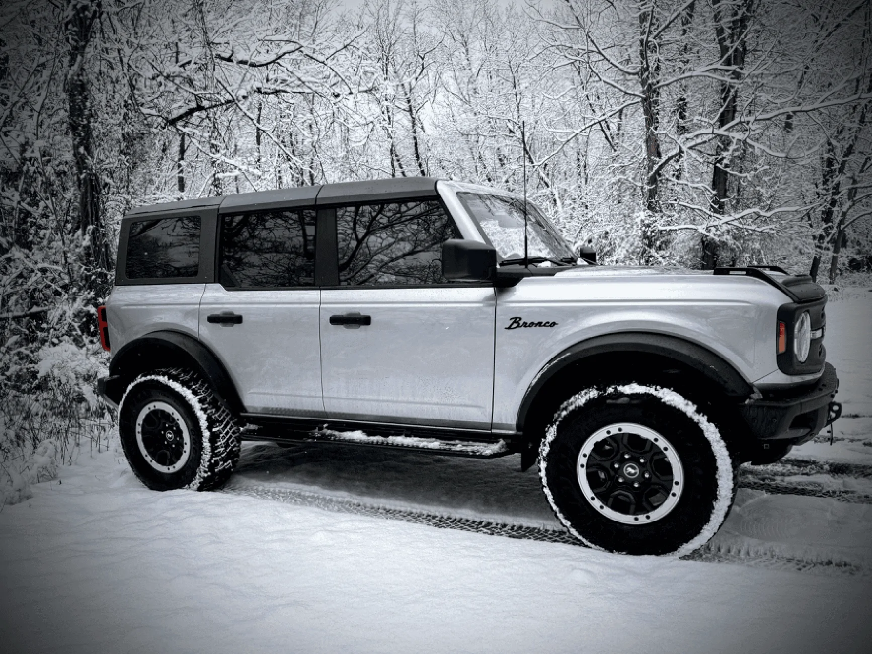 Ford Bronco Need help picking color! IMG_1254