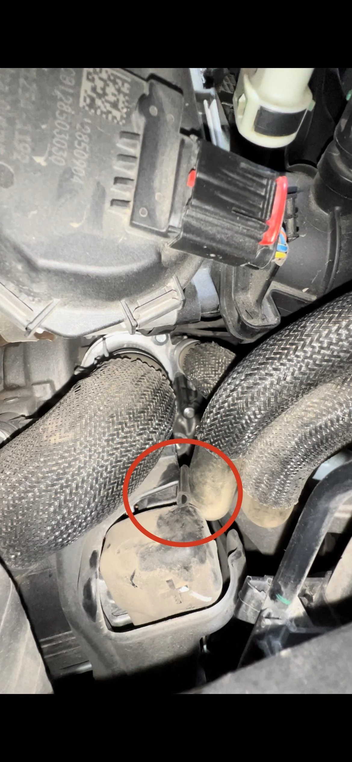 Ford Bronco 2.3 Alternator Shield Rubbing Coolant Hose IMG_1798