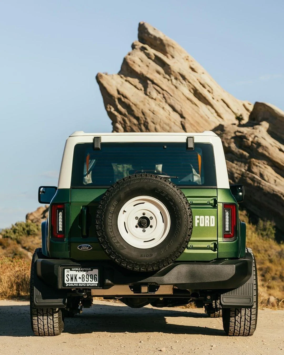 Ford Bronco Ford vintage logo IMG_0444