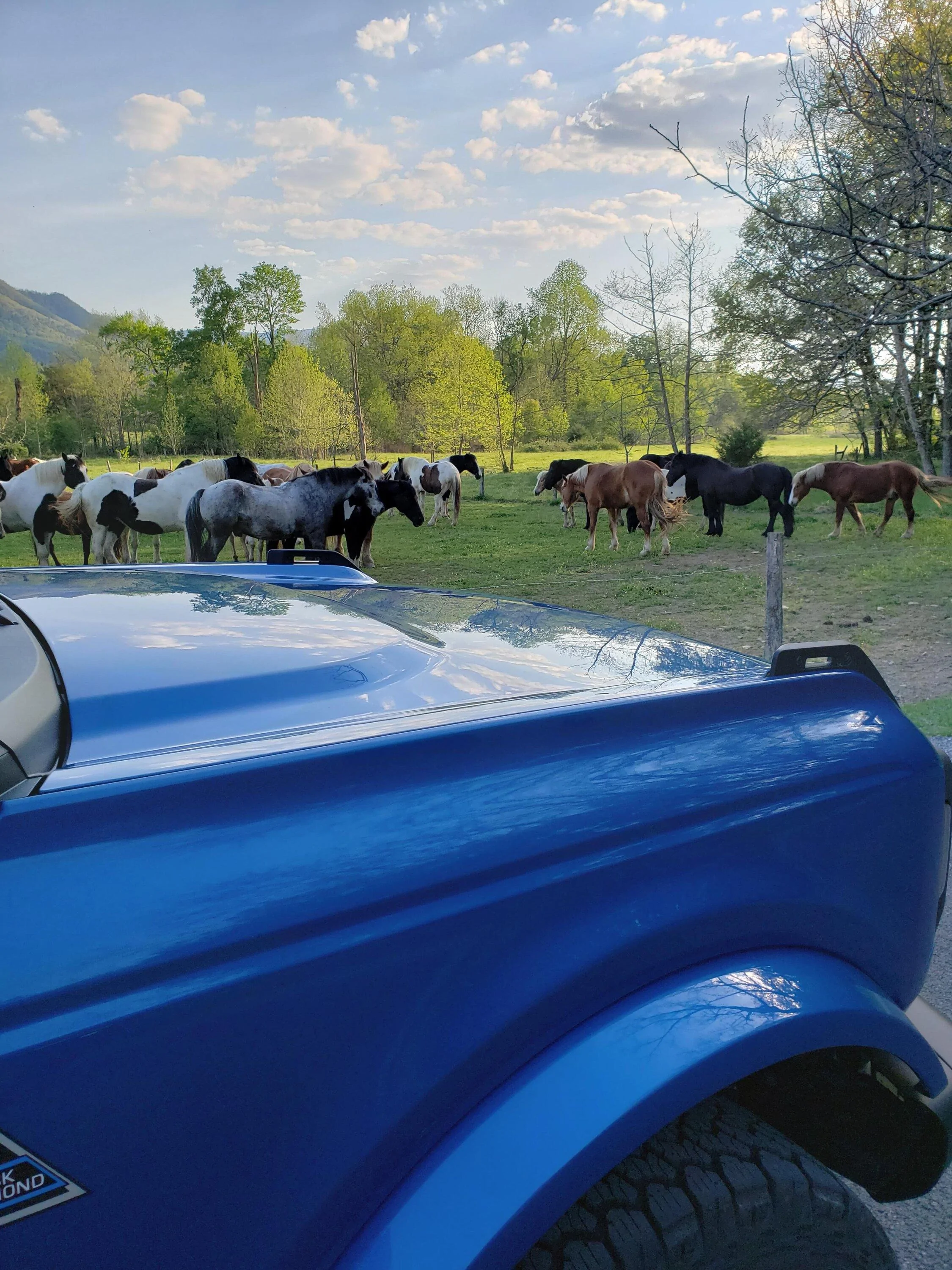Ford Bronco The Official Bronco6G Photo Challenge Game 📸 🤳 20230420_183249