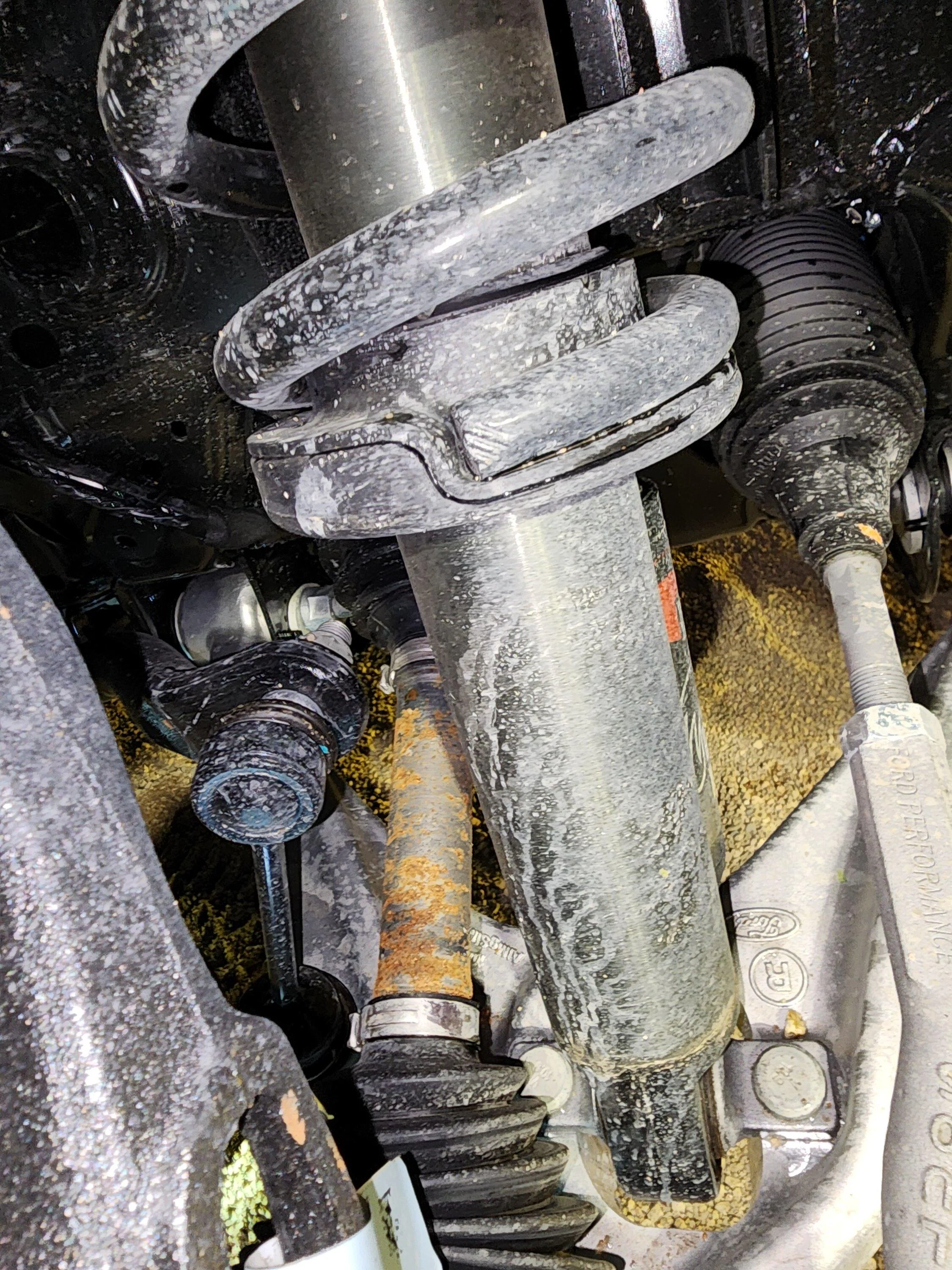 Ford Bronco 2024 has rust already 1000001566