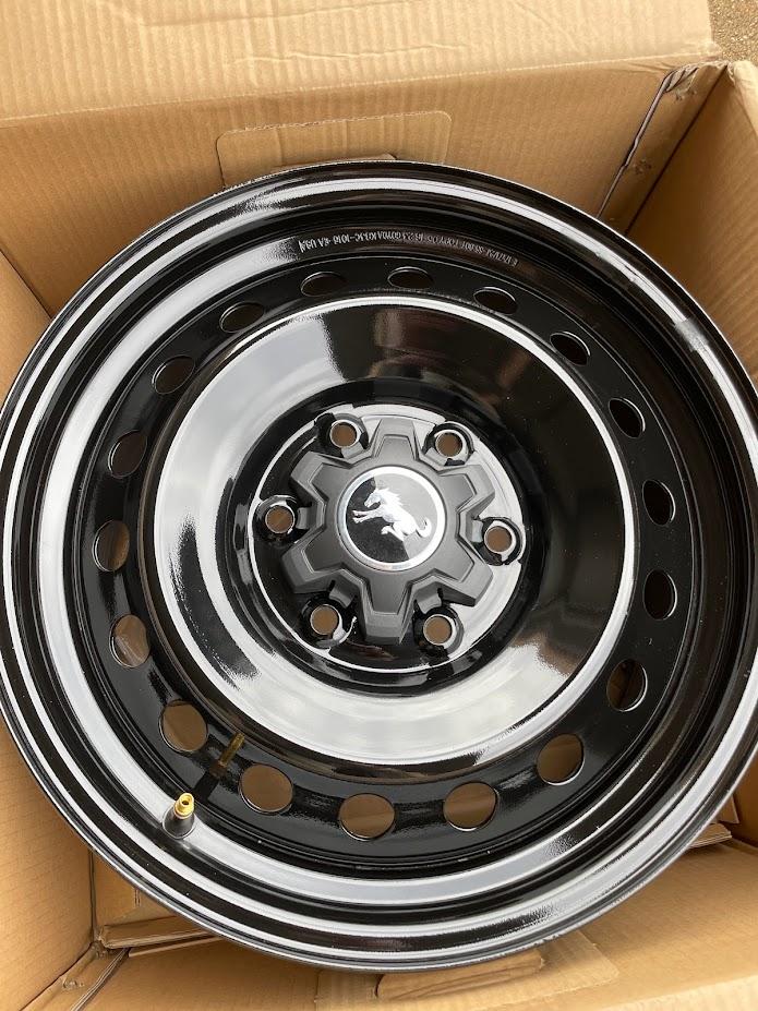 Ford Bronco Black Diamond Steelies W1