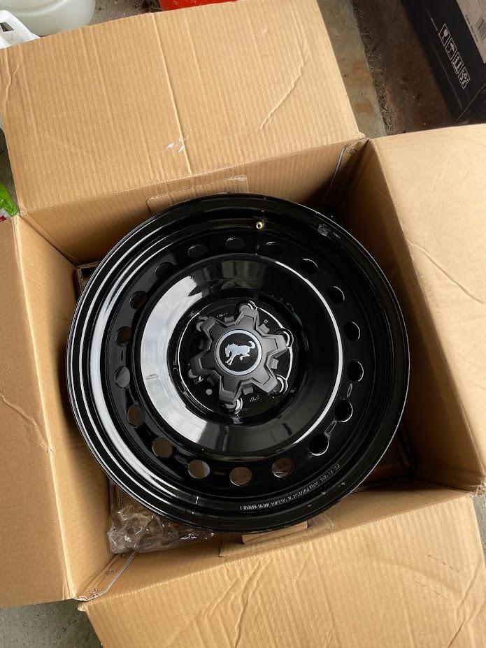 Ford Bronco Black Diamond Steelies W3