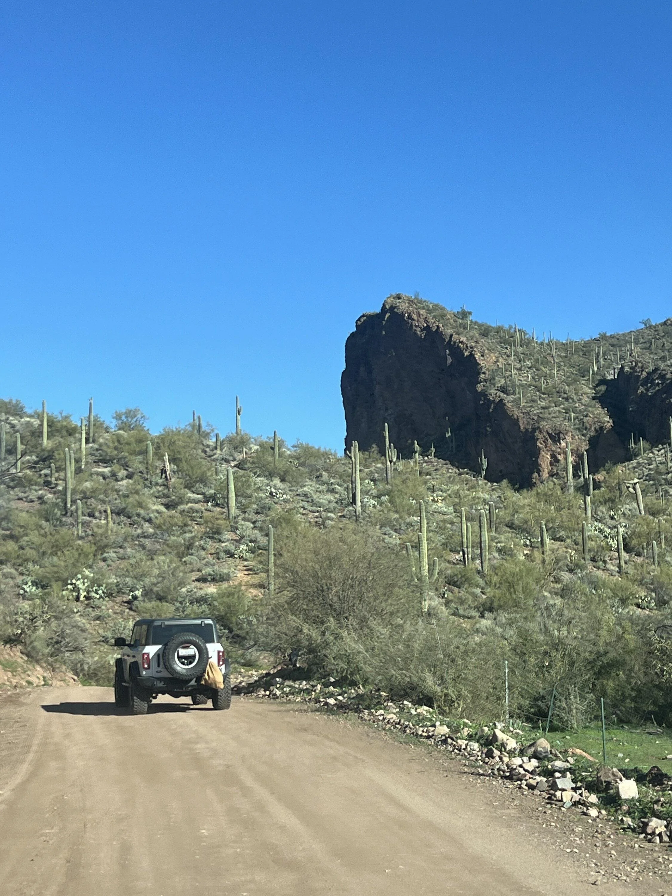 Ford Bronco Trip Report: Back Way to Crown King Az 3-9-24 IMG_6972