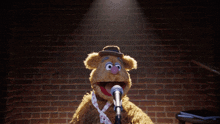 Ford Bronco New bronco owner fozzy-fozzie-bear