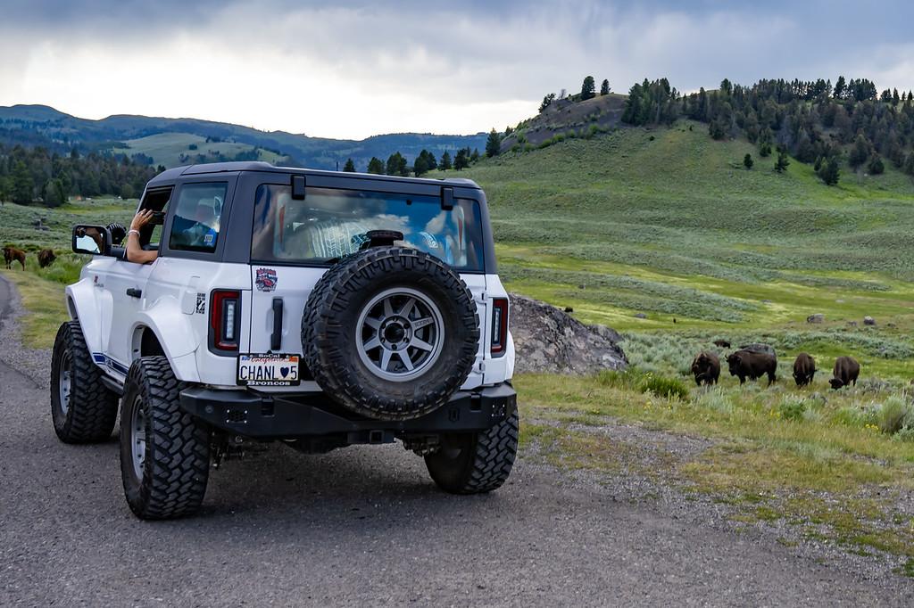 Ford Bronco National Park Pics... Show Yours! DTS_5088X-XL