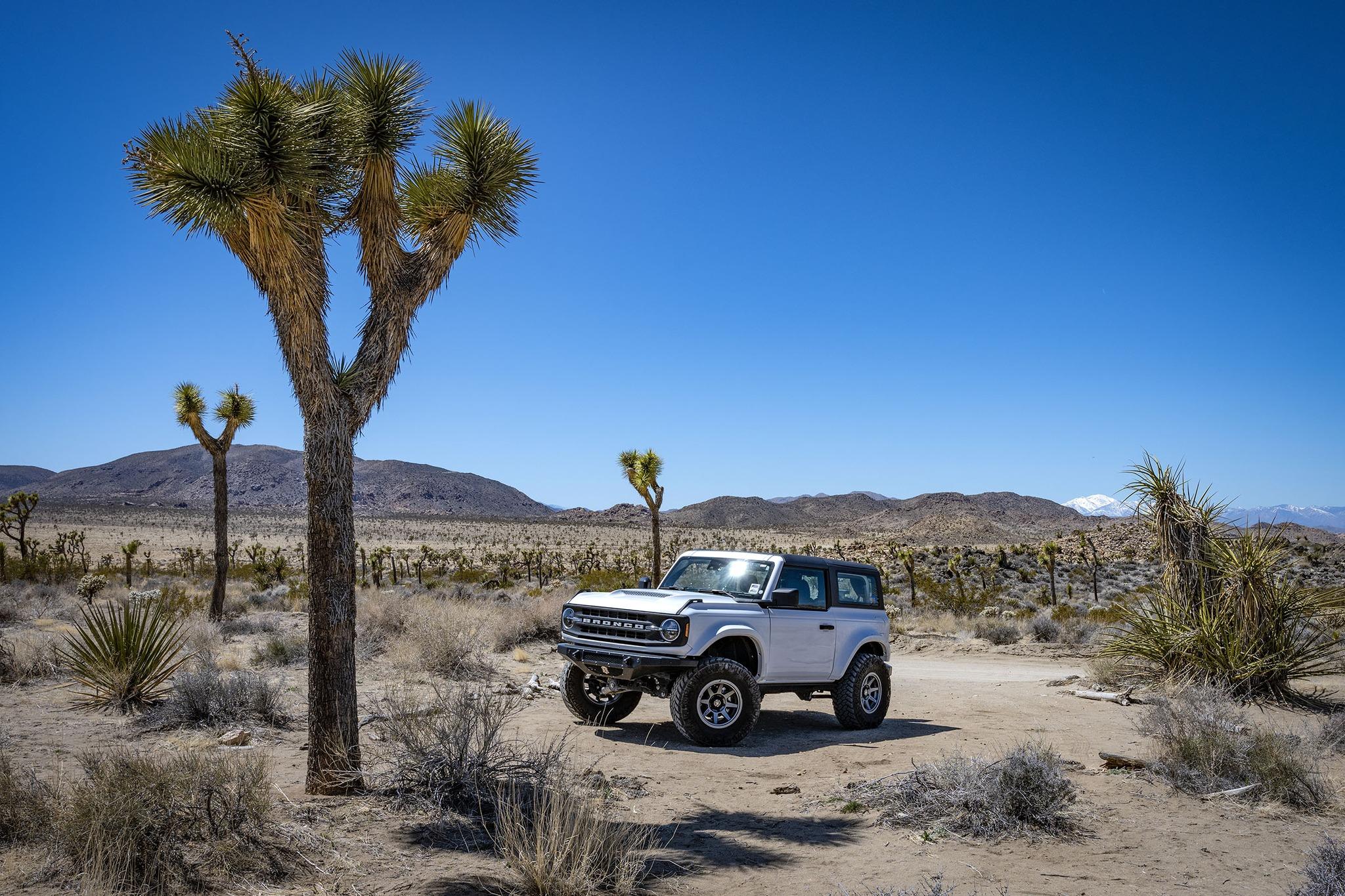 Ford Bronco National Park Pics... Show Yours! 339312267_1494856121045199_2857133933072590055_n