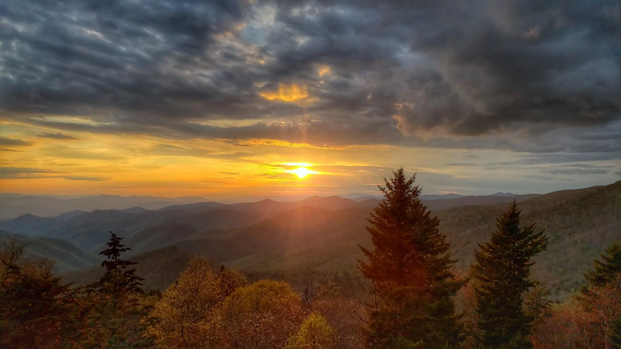 Ford Bronco Trip to Asheville (recommendations?) 187133290_10225057359931897_4346811754383581302_n