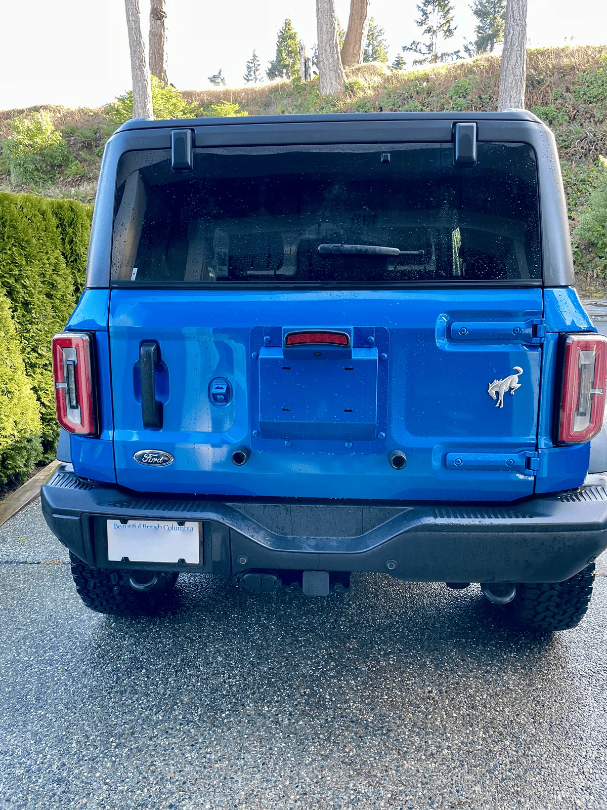 Ford Bronco Spare tire delete - best options? tempImagec7HNpB