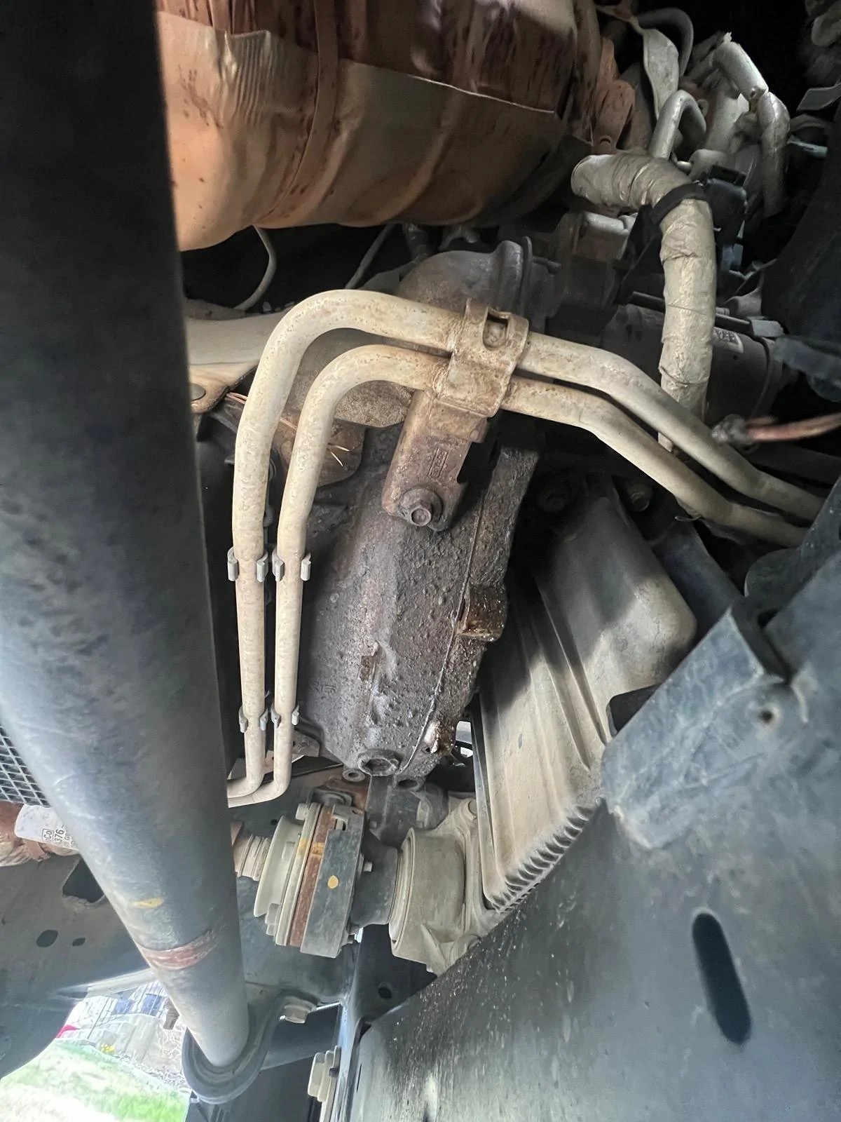 Ford Bronco Please HELP! Oil leak! IMG_5762