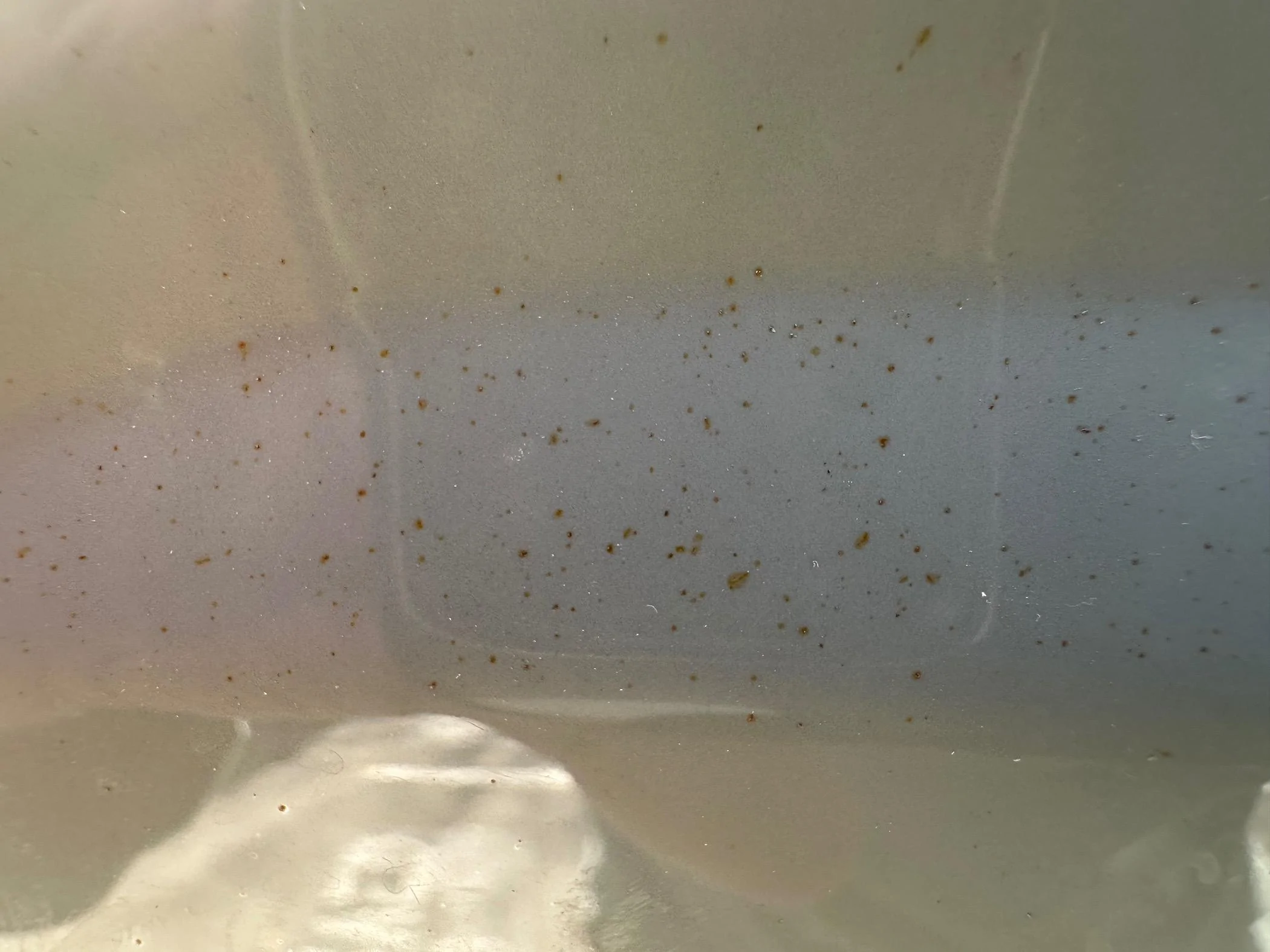 Ford Bronco Side panel rust IMG_6538