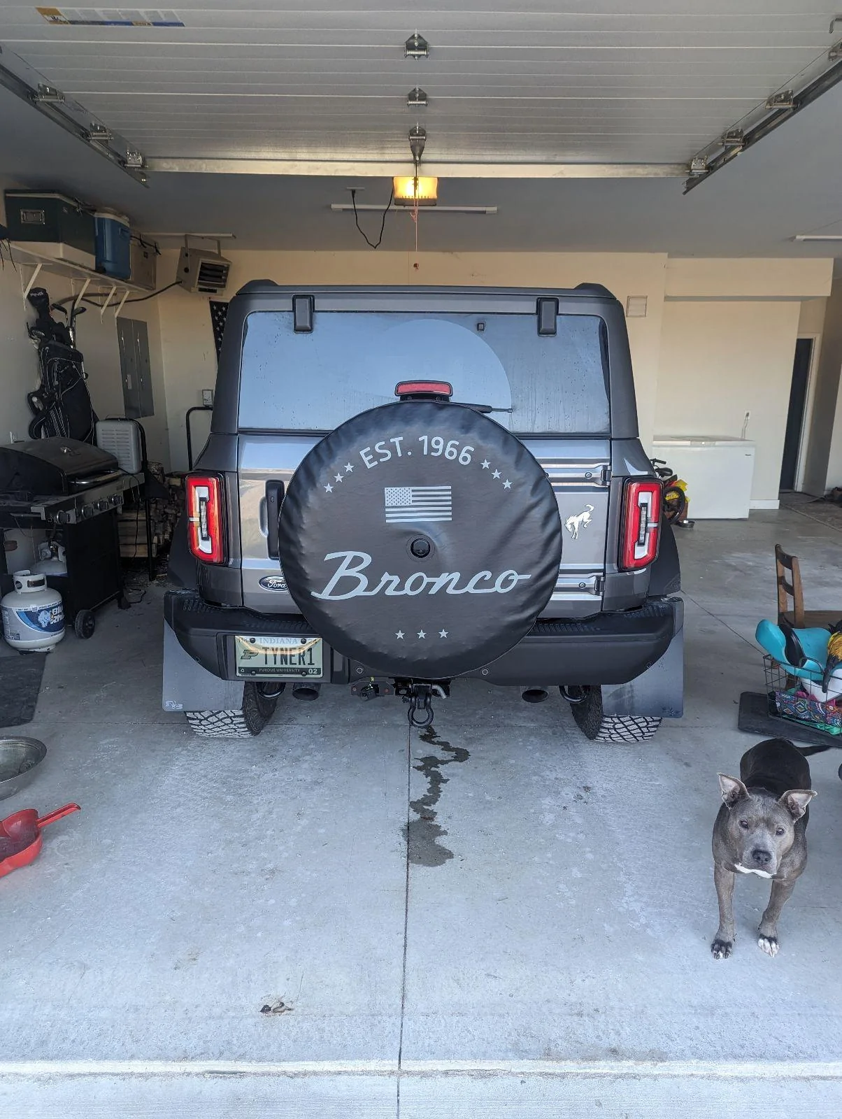 Ford Bronco Spare Tire Covers -- post yours 1000000185