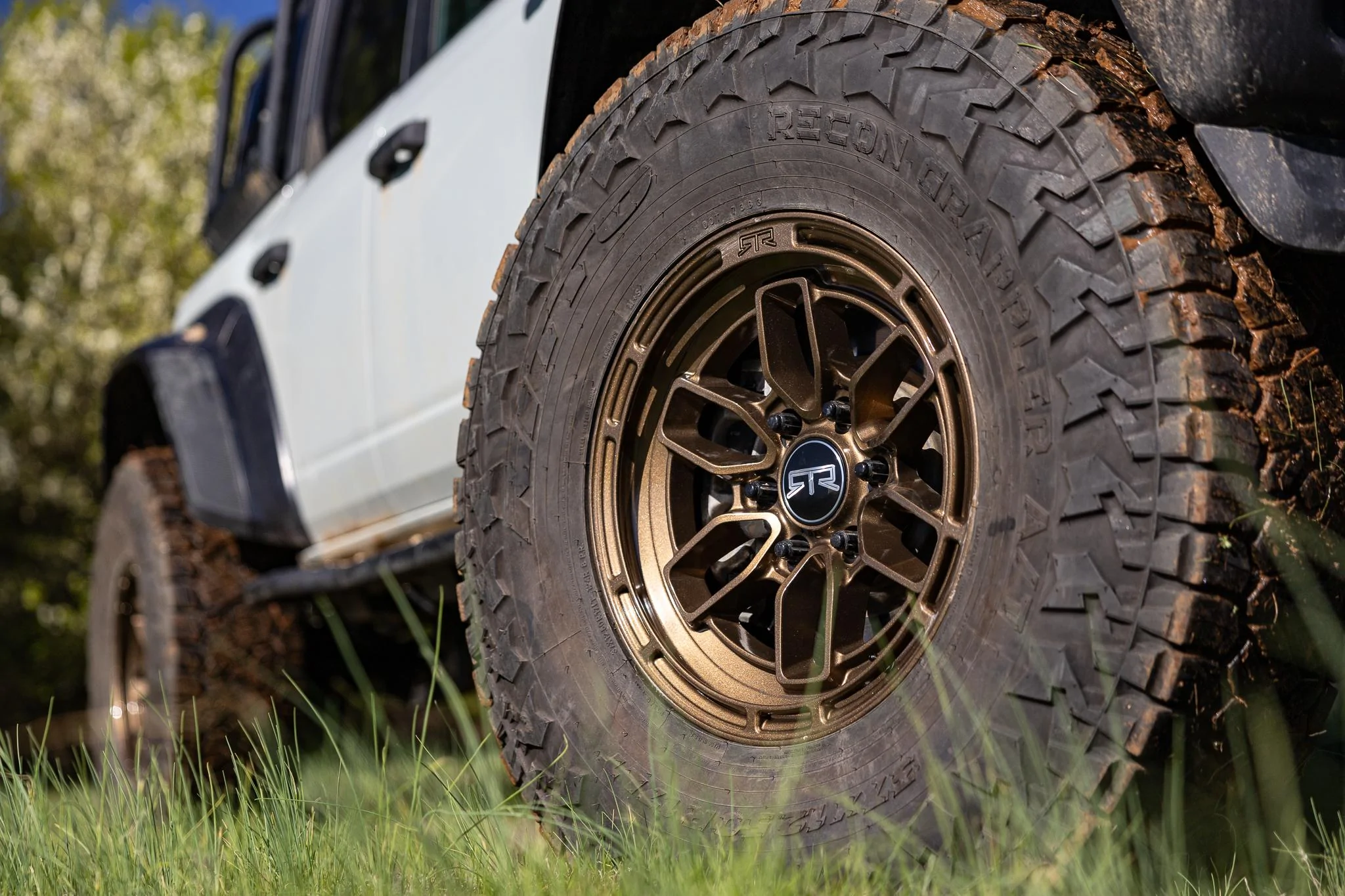 Ford Bronco RTR EVO 6 Wheels JCOL3469