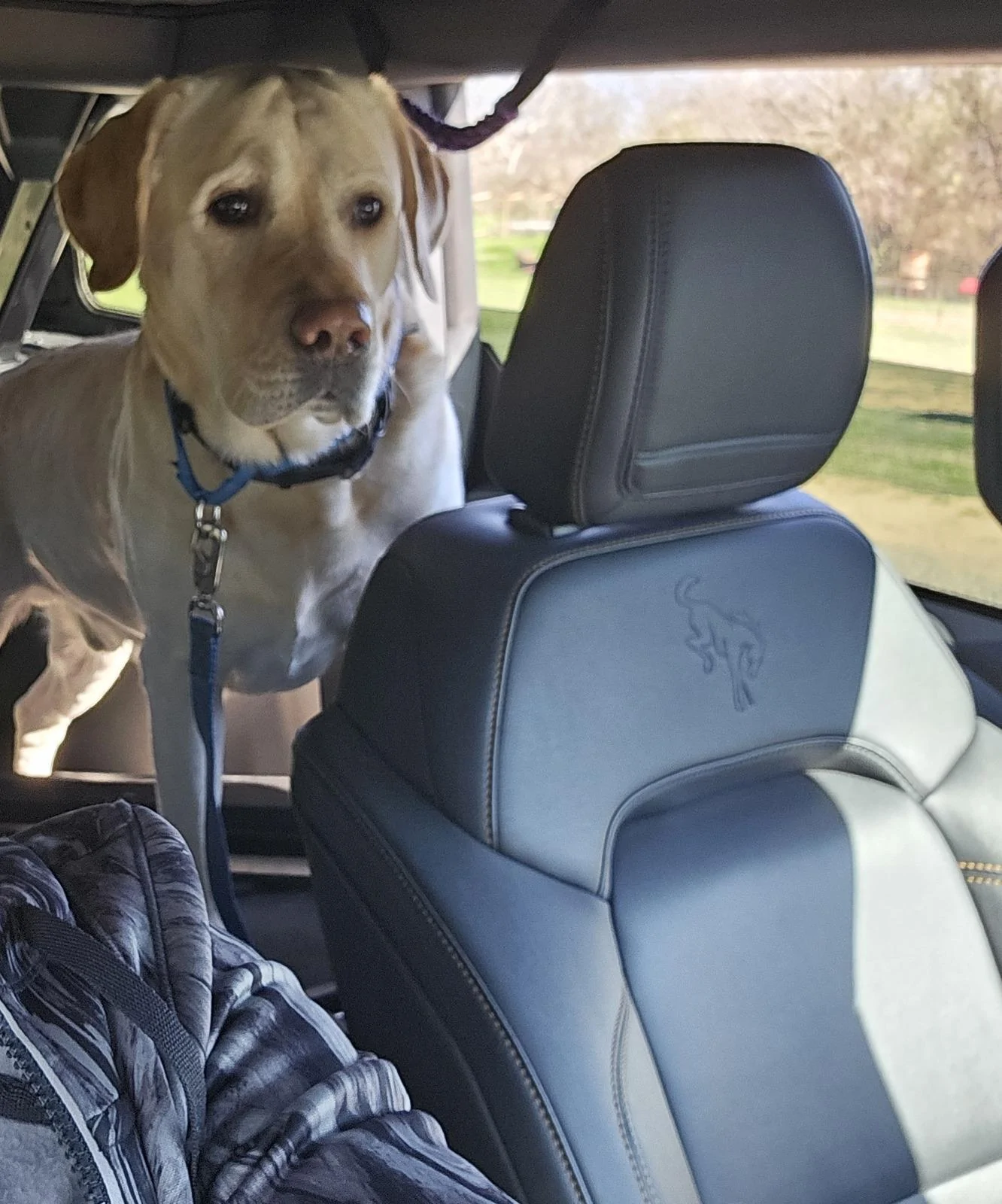 Ford Bronco Month-Long Giveaway Campaign — Share & Win From 3Wliners / Wolfbox rugerbronco