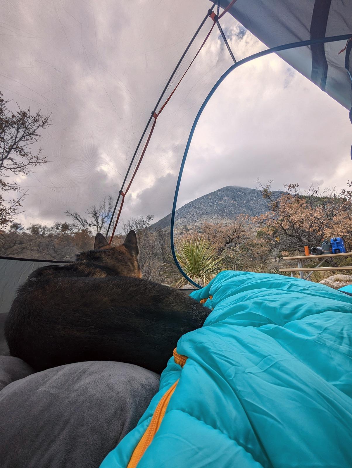 Ford Bronco Epic road trip, but had to say goodbye to my German Shepherd before we made it home Tent Na
