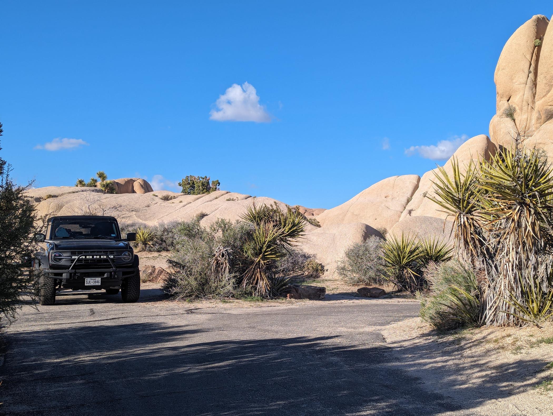 Ford Bronco Epic road trip, but had to say goodbye to my German Shepherd before we made it home Jumbo Rocks