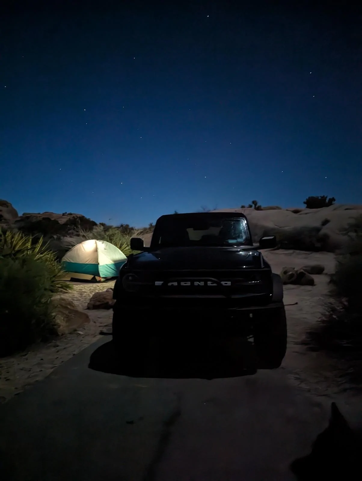 Ford Bronco Epic road trip, but had to say goodbye to my German Shepherd before we made it home Jumbo Rocks Night