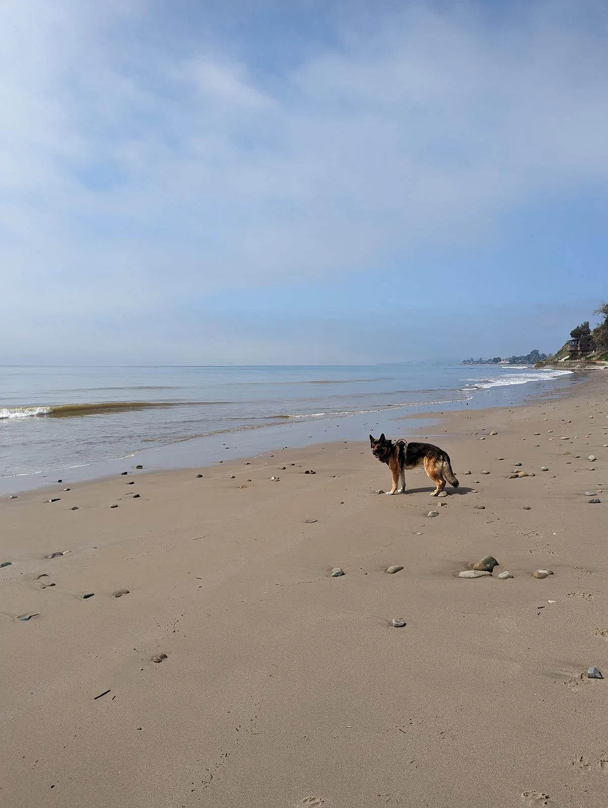 Ford Bronco Epic road trip, but had to say goodbye to my German Shepherd before we made it home Summerland Beach