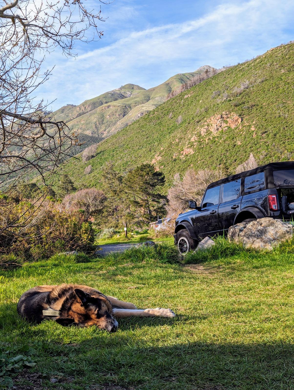 Ford Bronco Epic road trip, but had to say goodbye to my German Shepherd before we made it home Big Sur