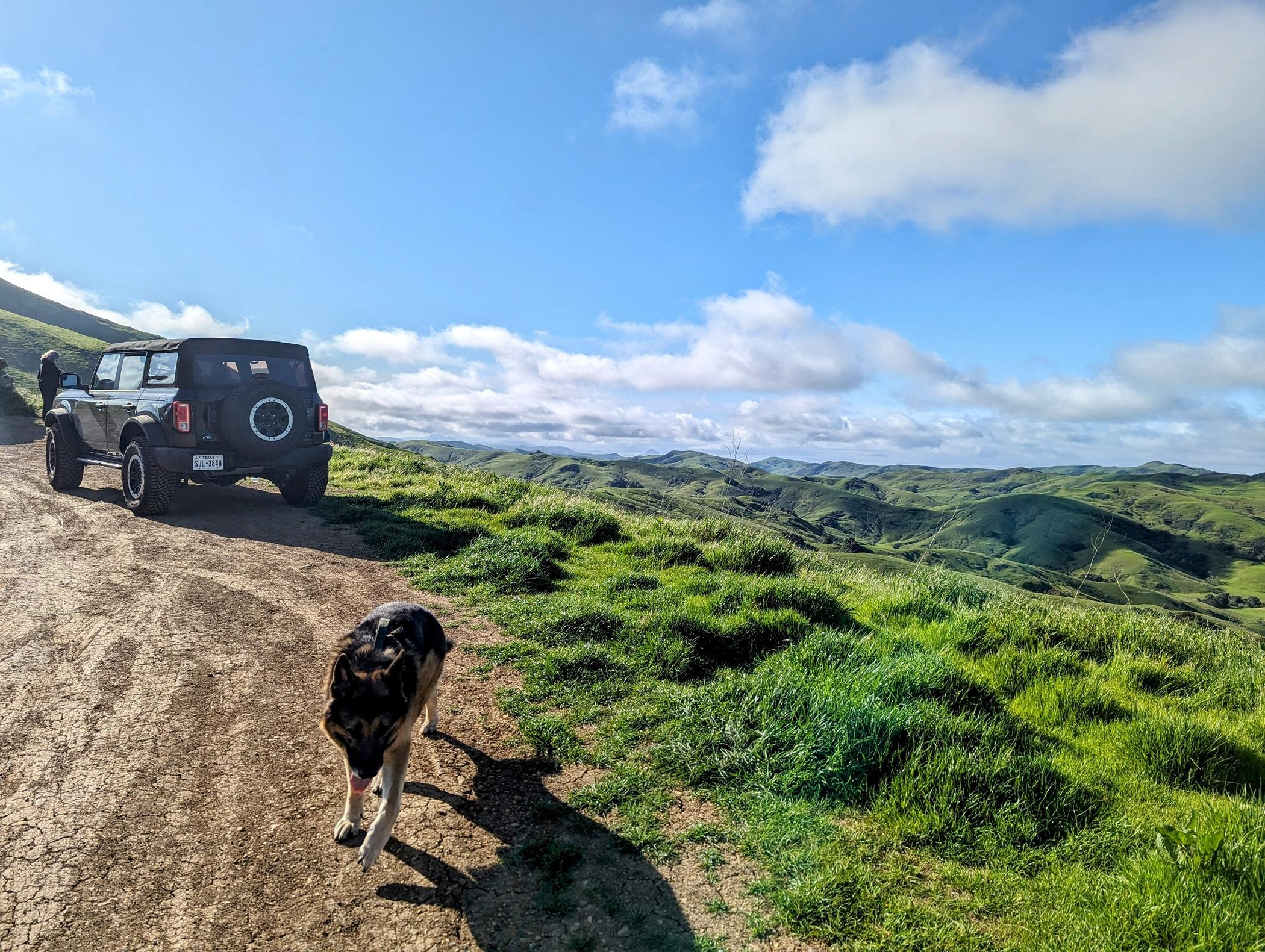 Ford Bronco Epic road trip, but had to say goodbye to my German Shepherd before we made it home Green Valley