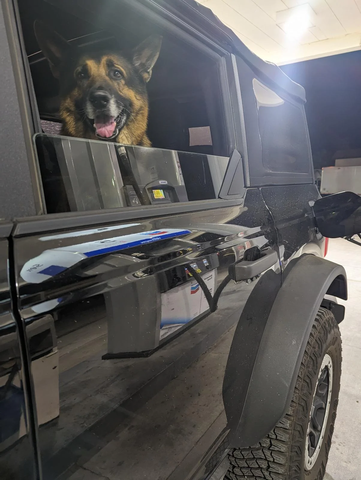 Ford Bronco Epic road trip, but had to say goodbye to my German Shepherd before we made it home Gas Sto