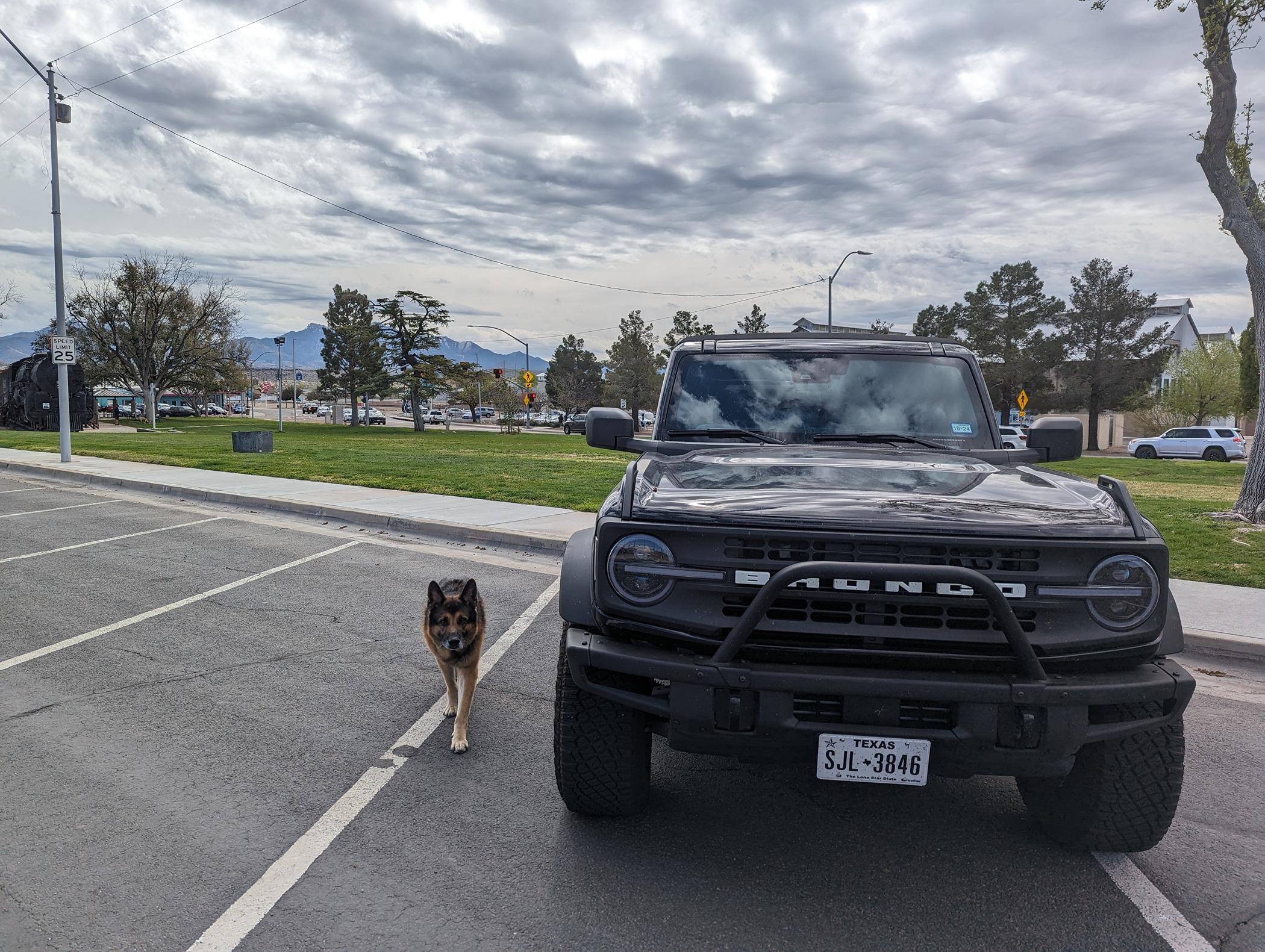 Ford Bronco Epic road trip, but had to say goodbye to my German Shepherd before we made it home Locomotive Park