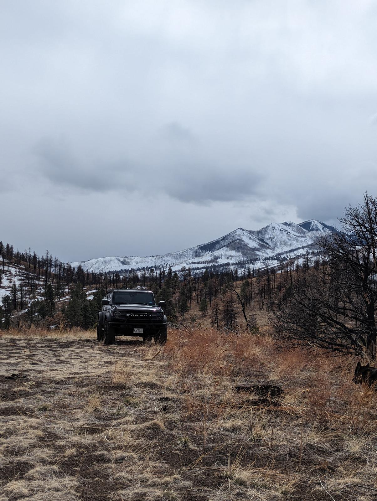 Ford Bronco Epic road trip, but had to say goodbye to my German Shepherd before we made it home Dispersed Cam