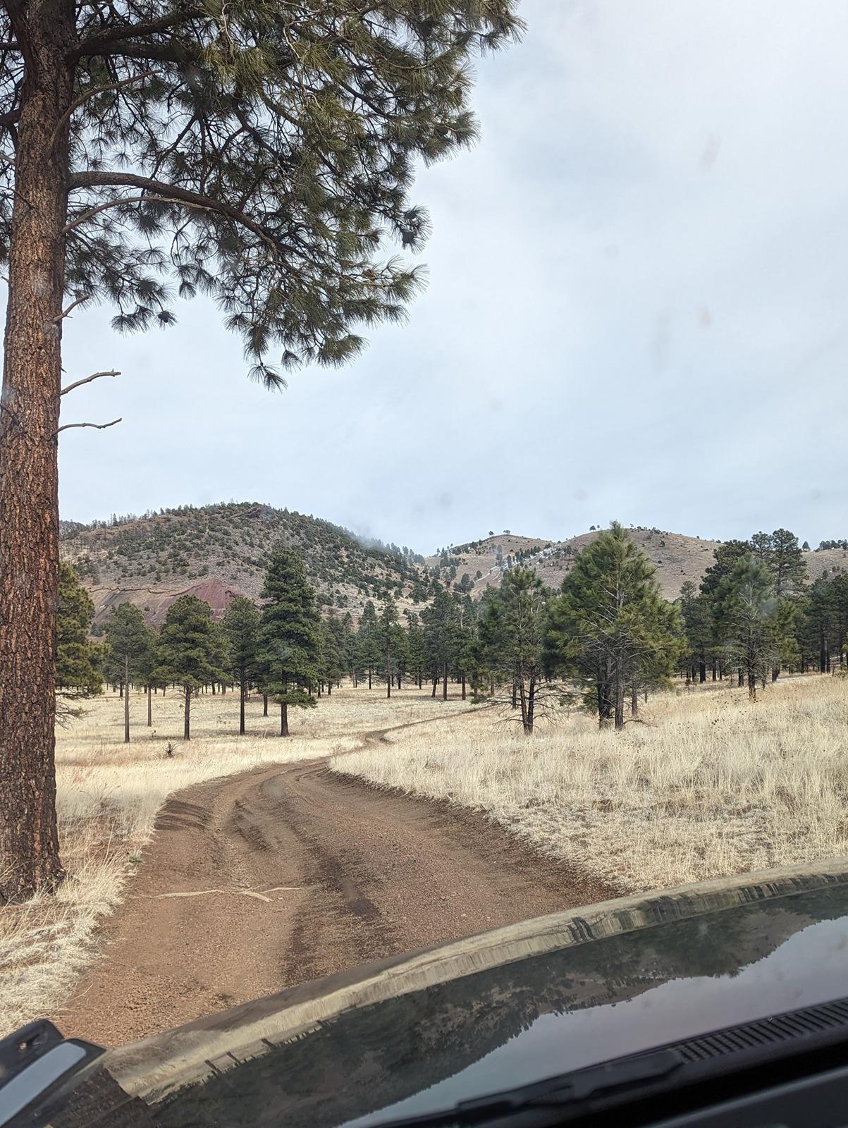 Ford Bronco Epic road trip, but had to say goodbye to my German Shepherd before we made it home Forest Road