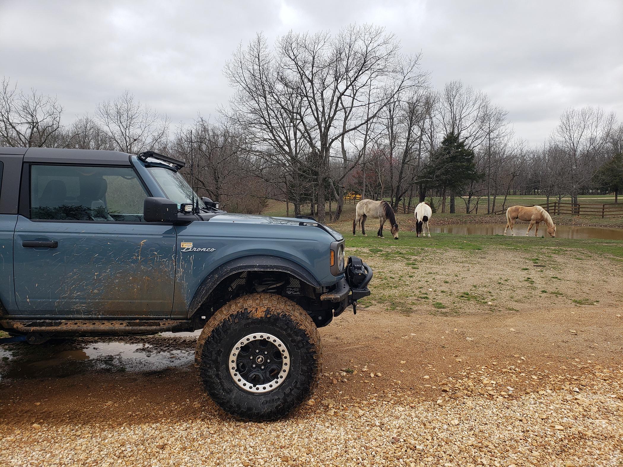 Ford Bronco 74Weld Bronco Portals now available! 20240326_163242[1]