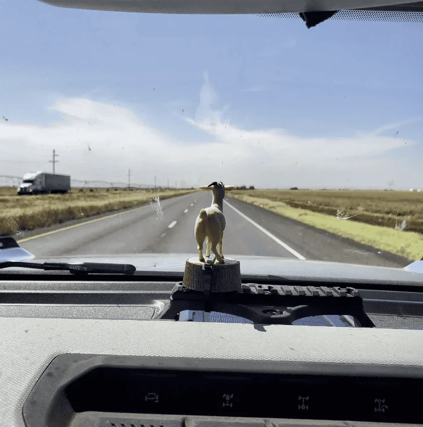 Ford Bronco Enough with the ducks Screenshot 2024-04-01 185431