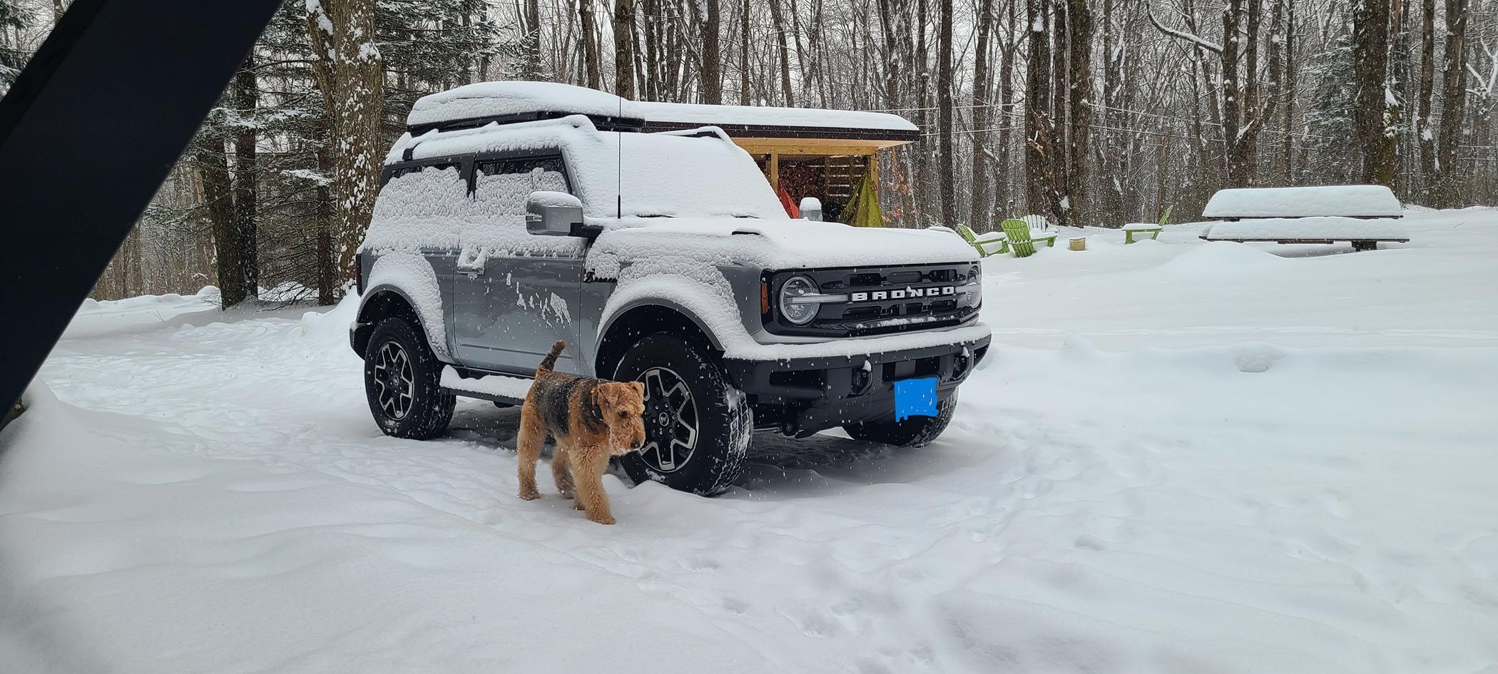 Ford Bronco 2 Door Broncos - What’s on your roof racks? [Photos Thread] 20240119_082034